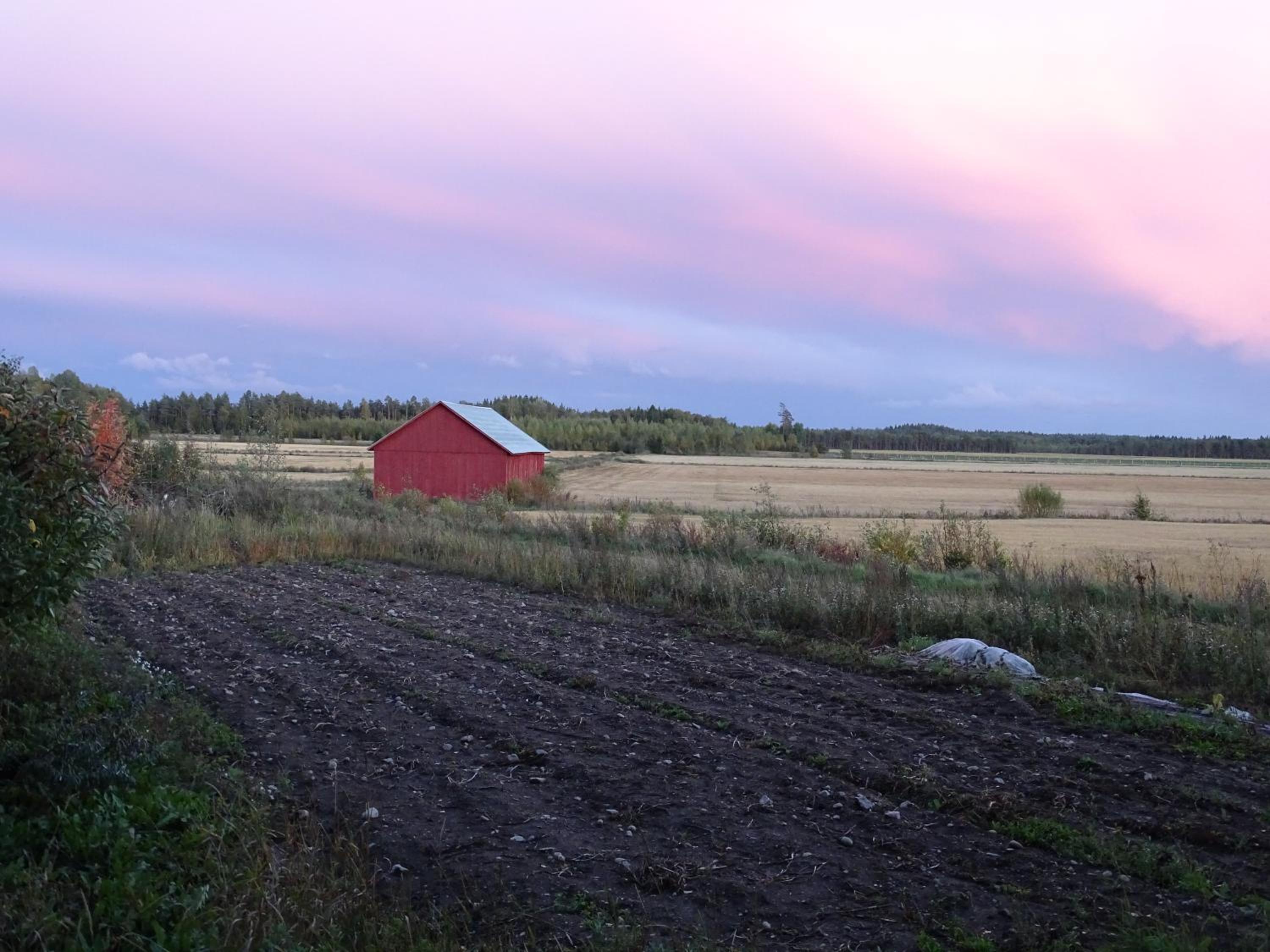 Photo 30