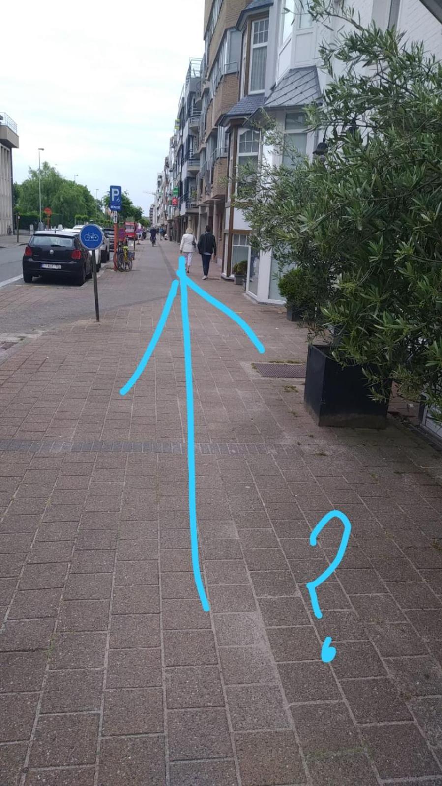Piers de Raveschootlaan
