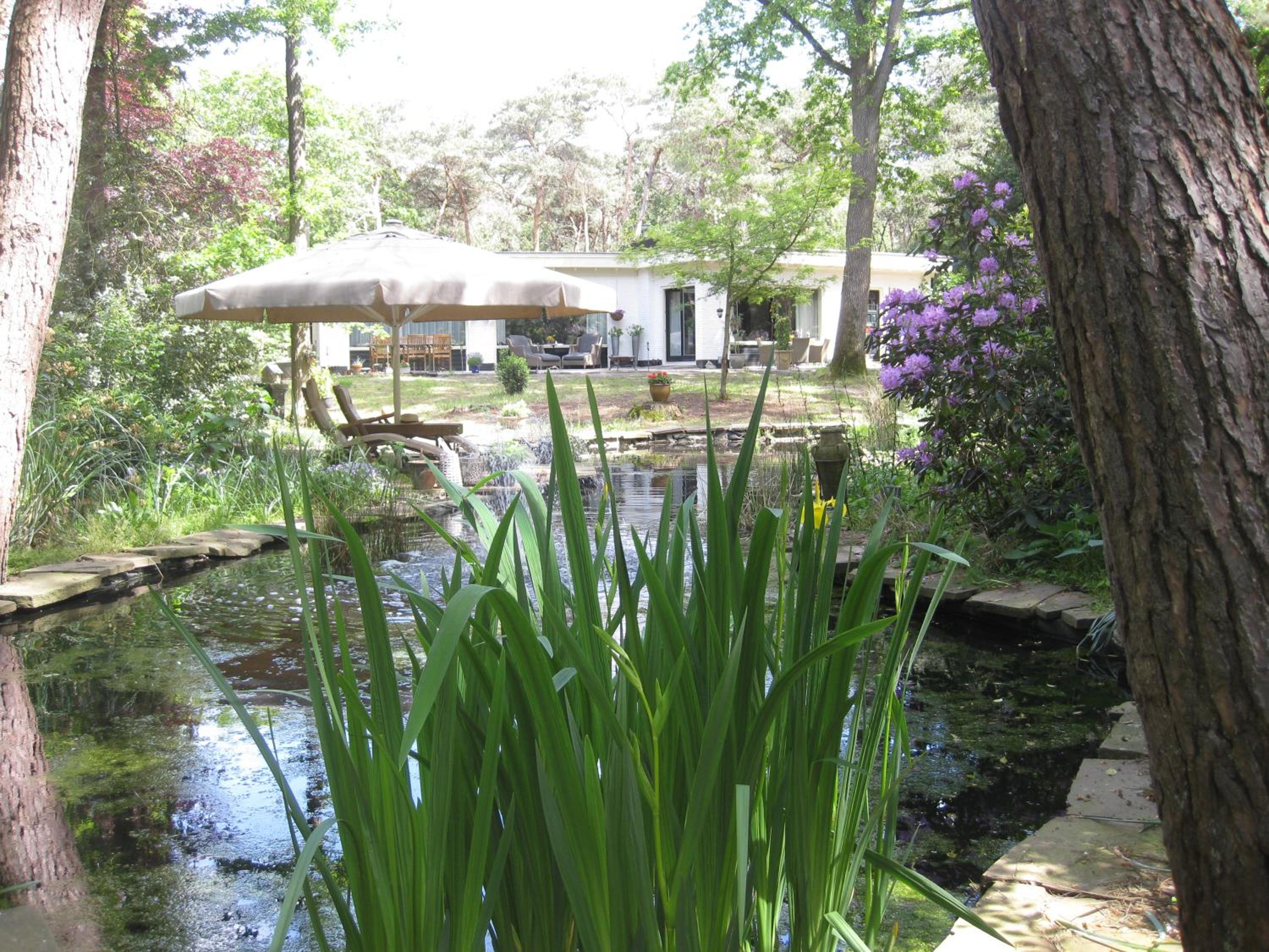 Photo 25