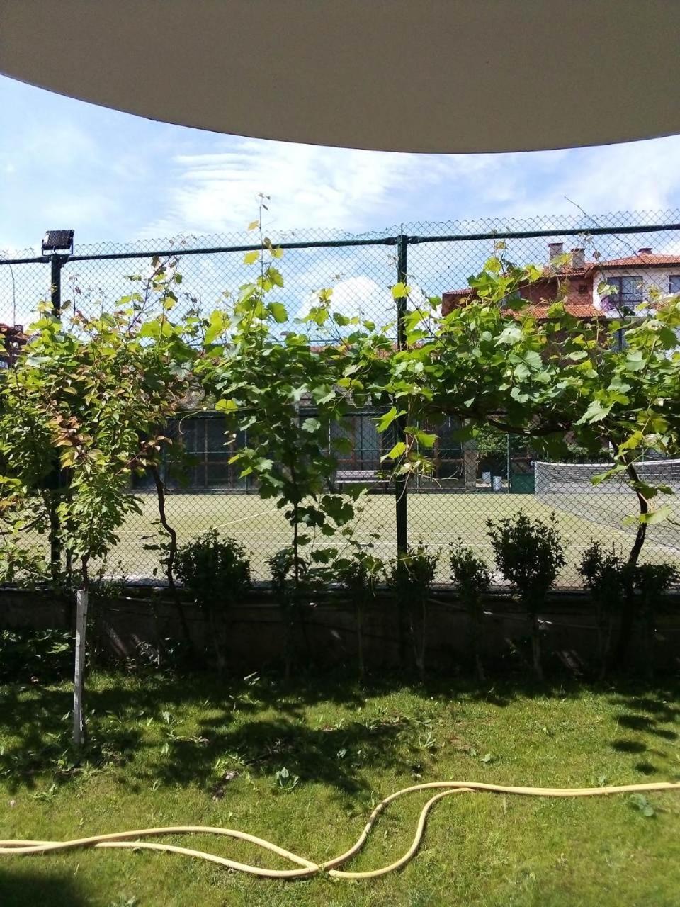 Photo 27
