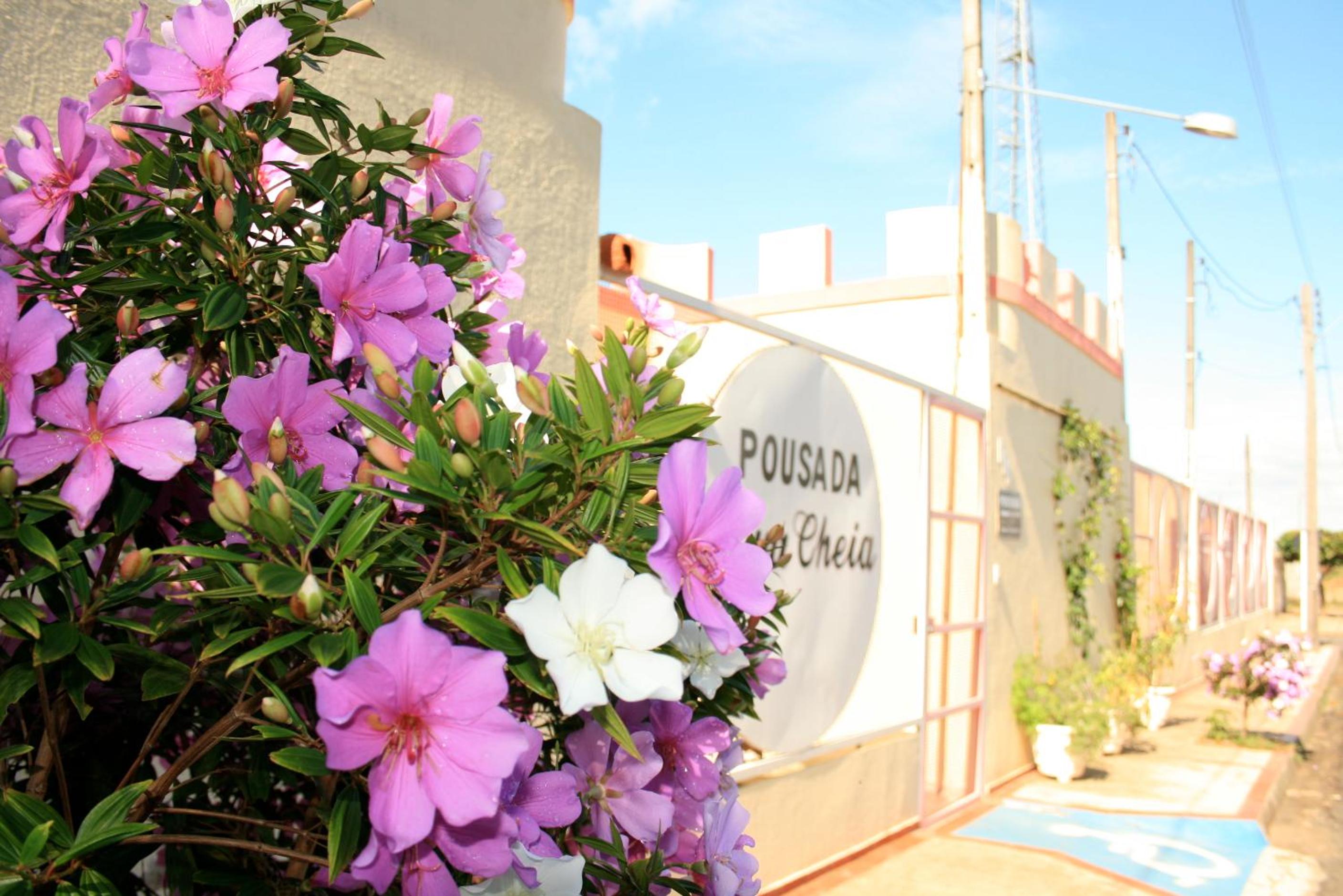 Pousada Lua Cheia, photo 22