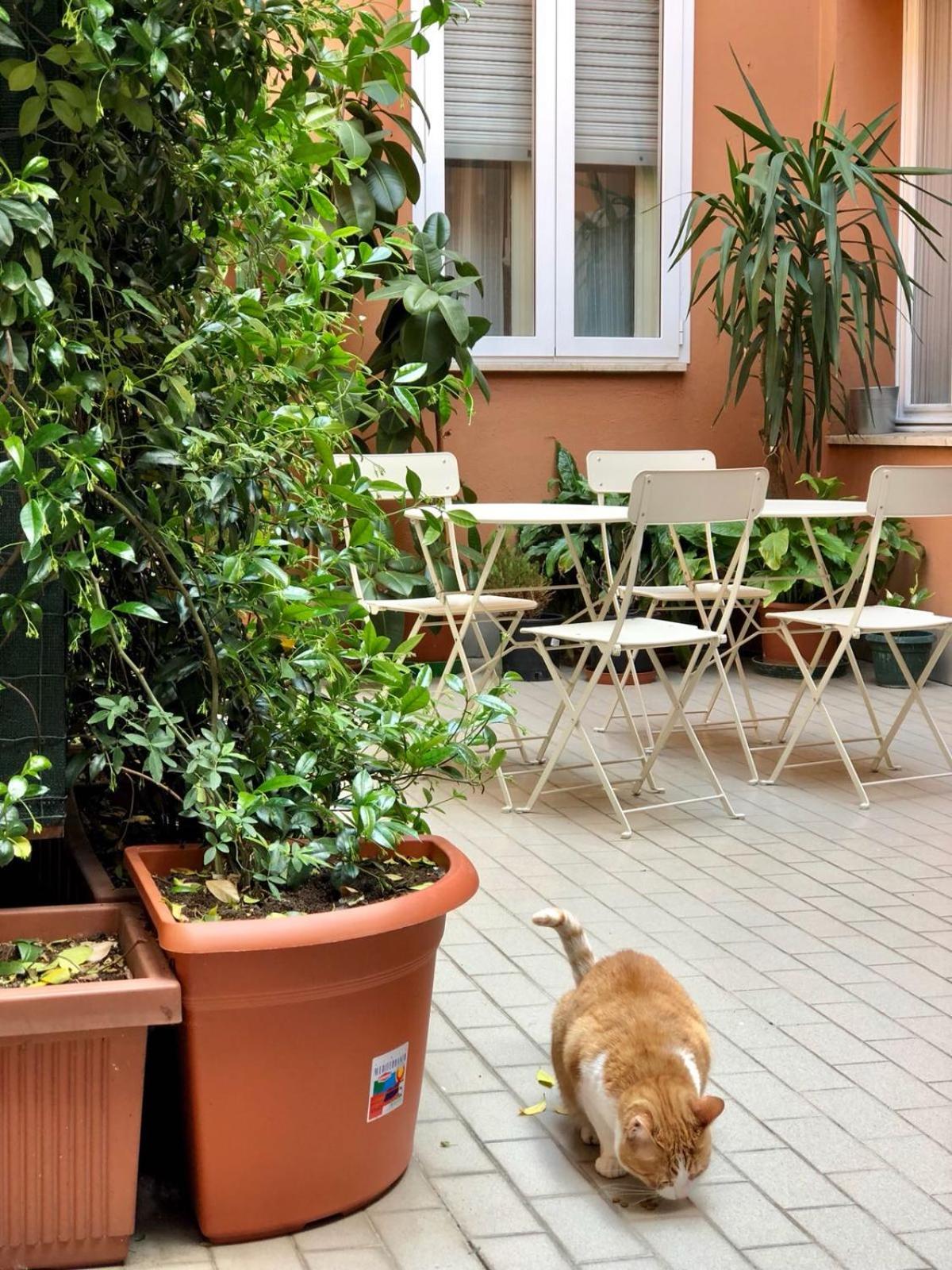 Castelfranco Hotel, photo 10