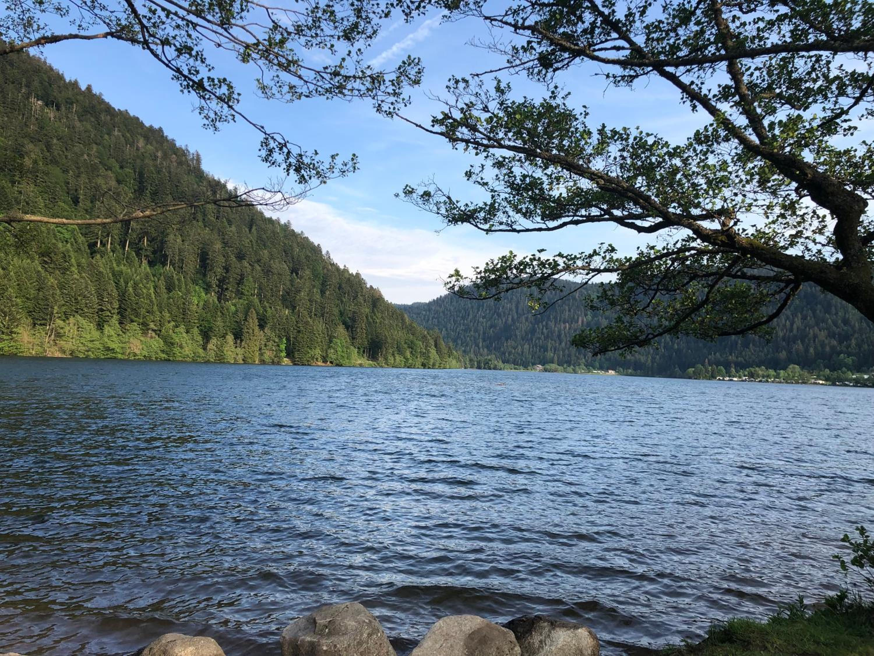 Chalet LE TREMPLIN - wifi, BBQ, parking