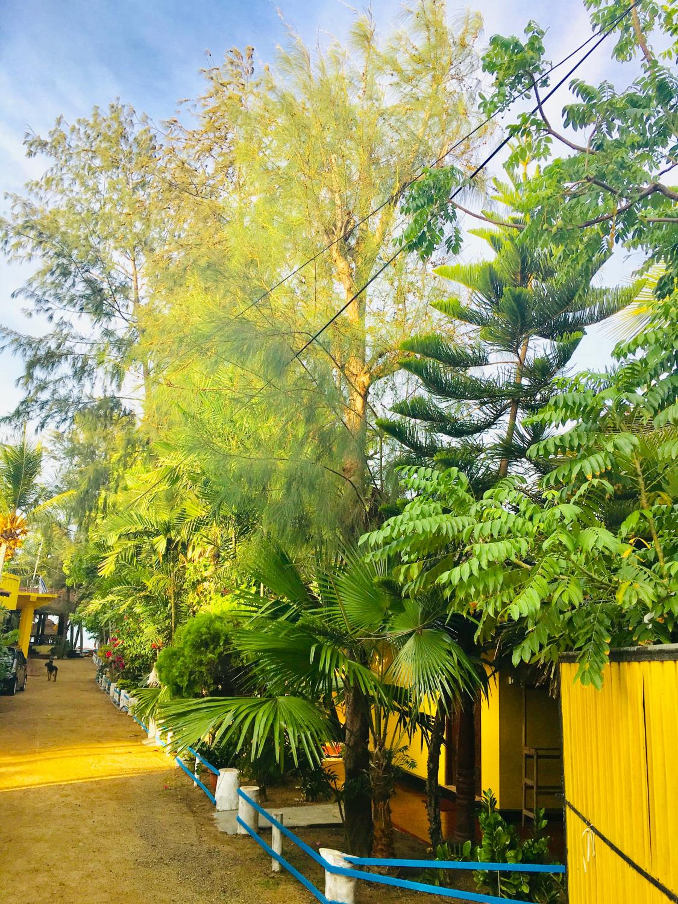 Shashini Beach Resort