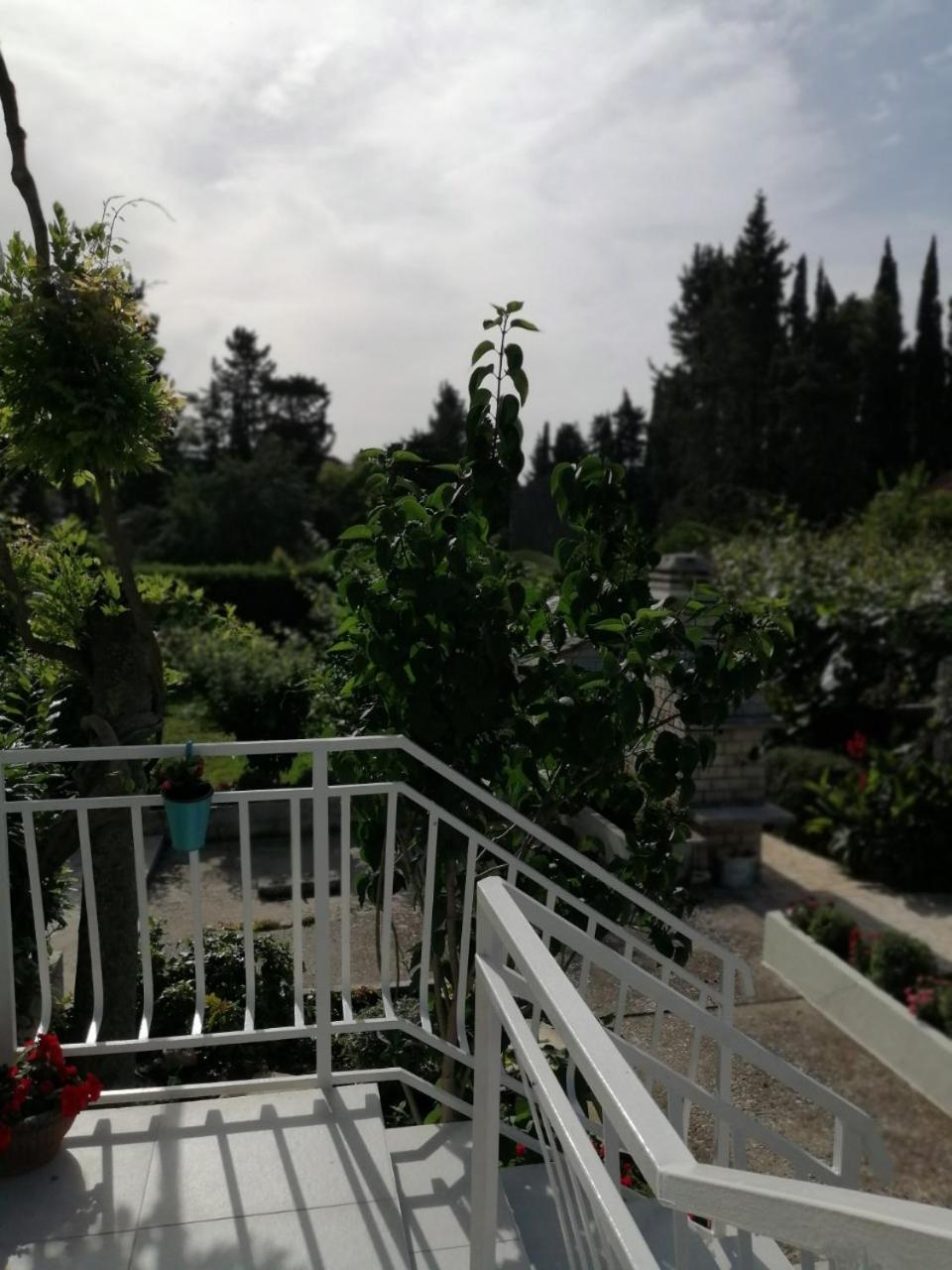 Photo 34