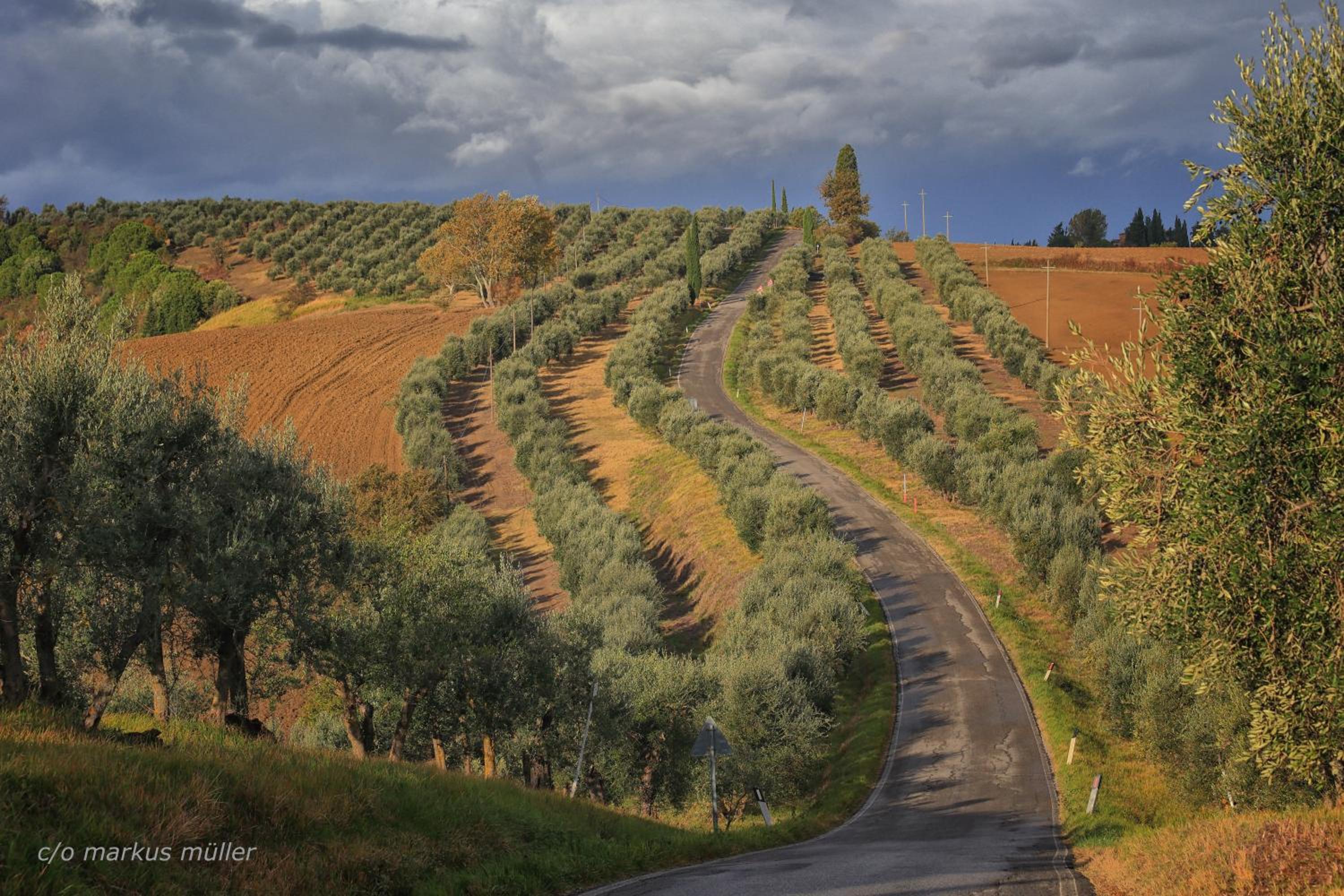 Agriturismo Mocine