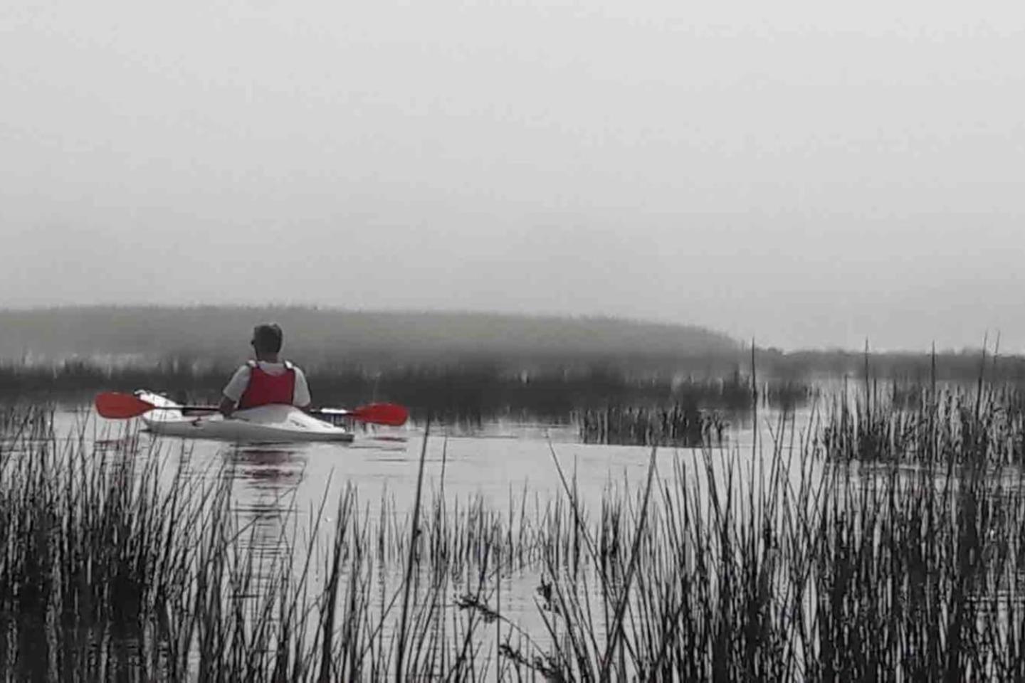Photo 49