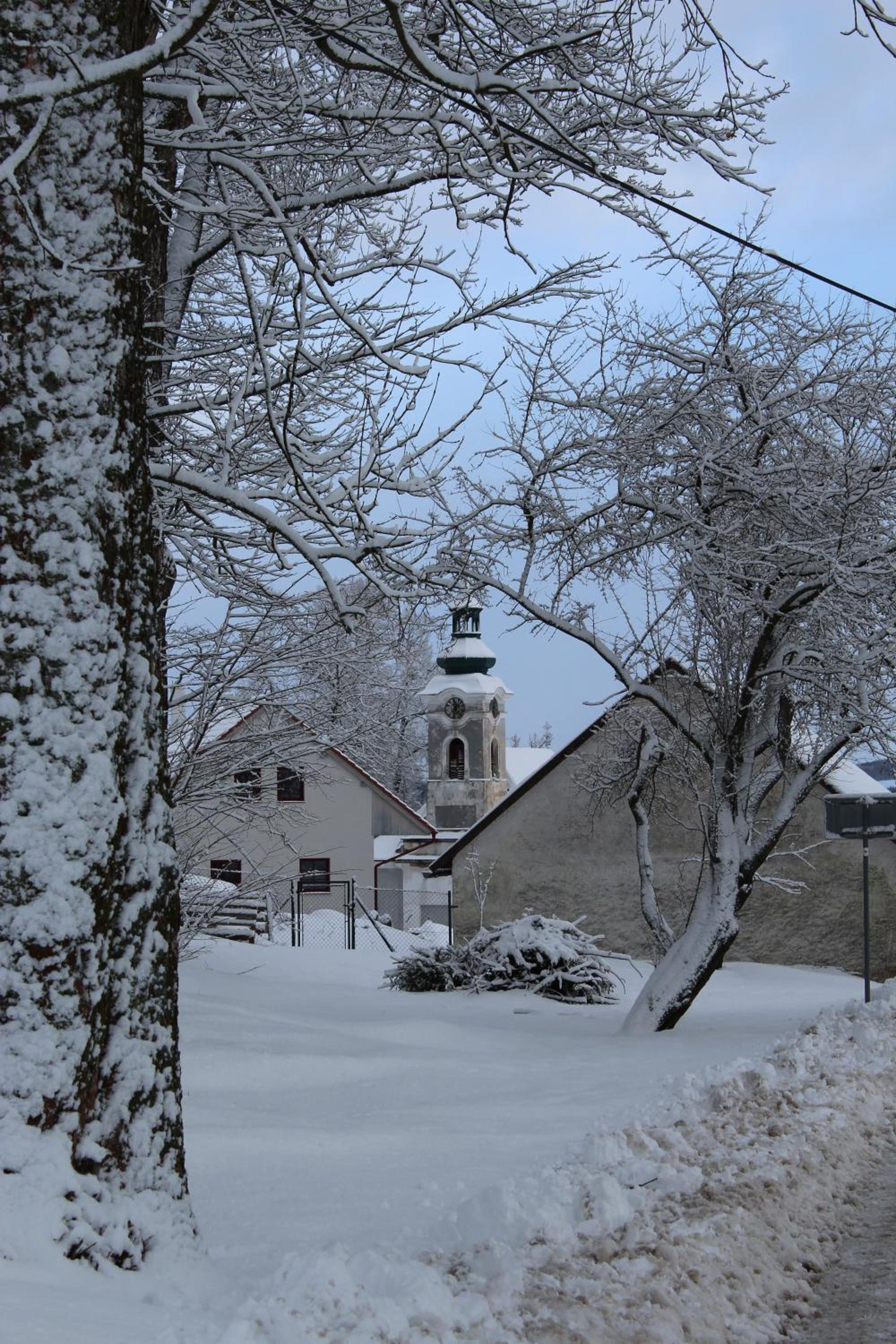 Photo 48