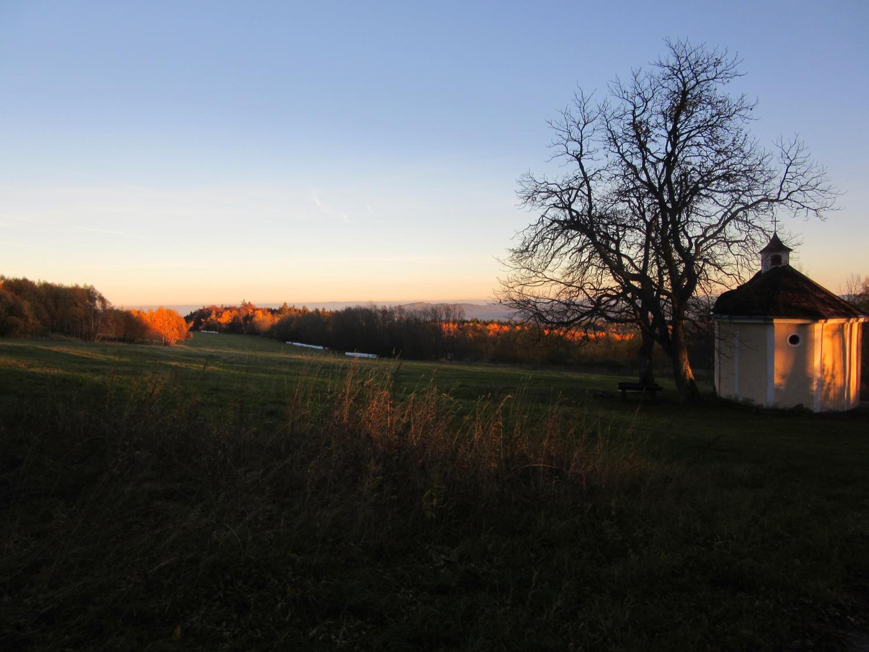 Photo 45