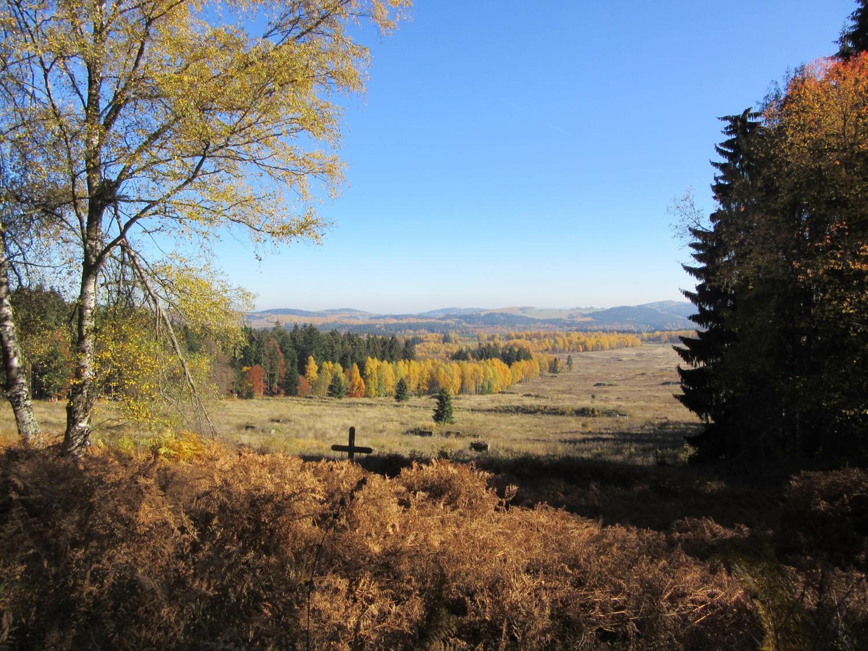 Photo 47