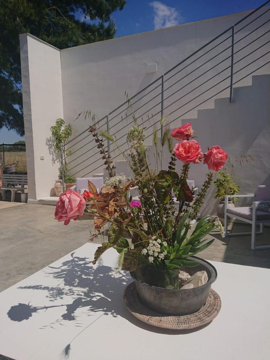 LE STELLE DI ARNEO - Casa Vacanze view 4