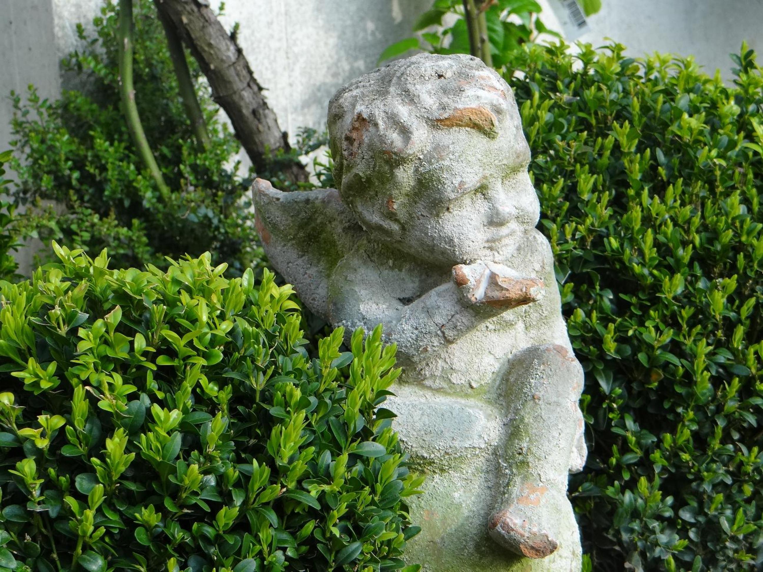 Photo 24