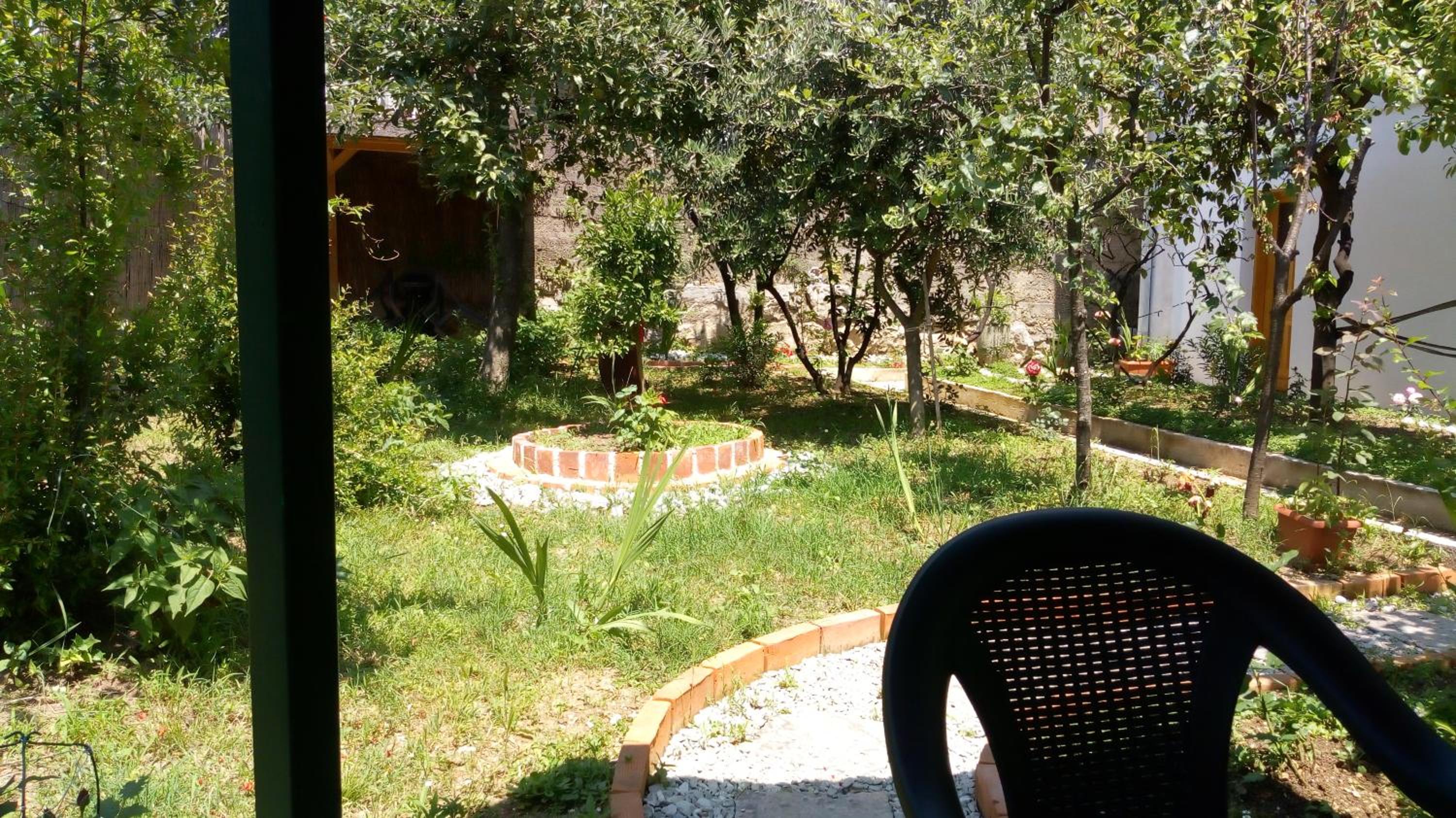 Photo 19