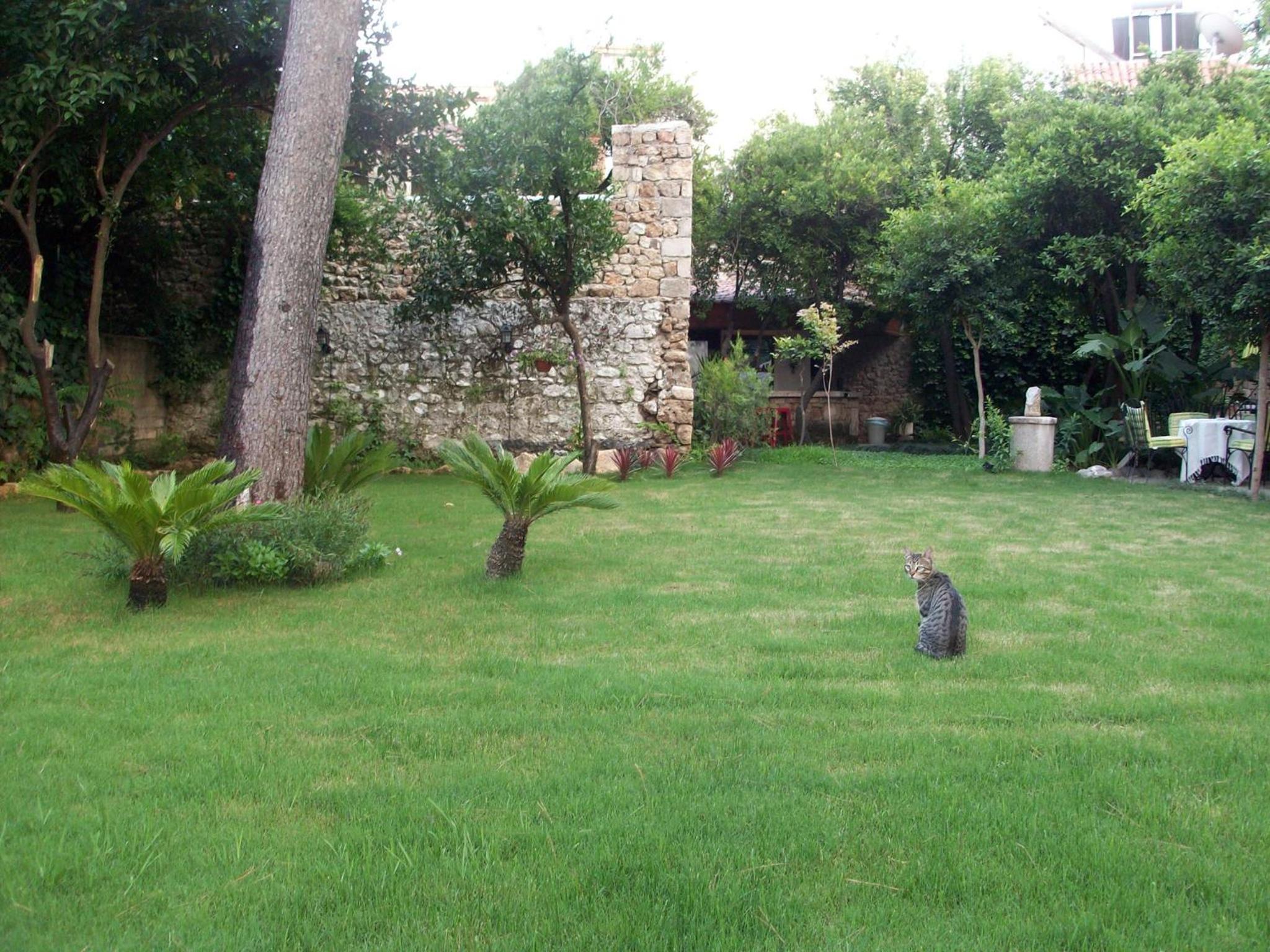 The Ninova - Image 14