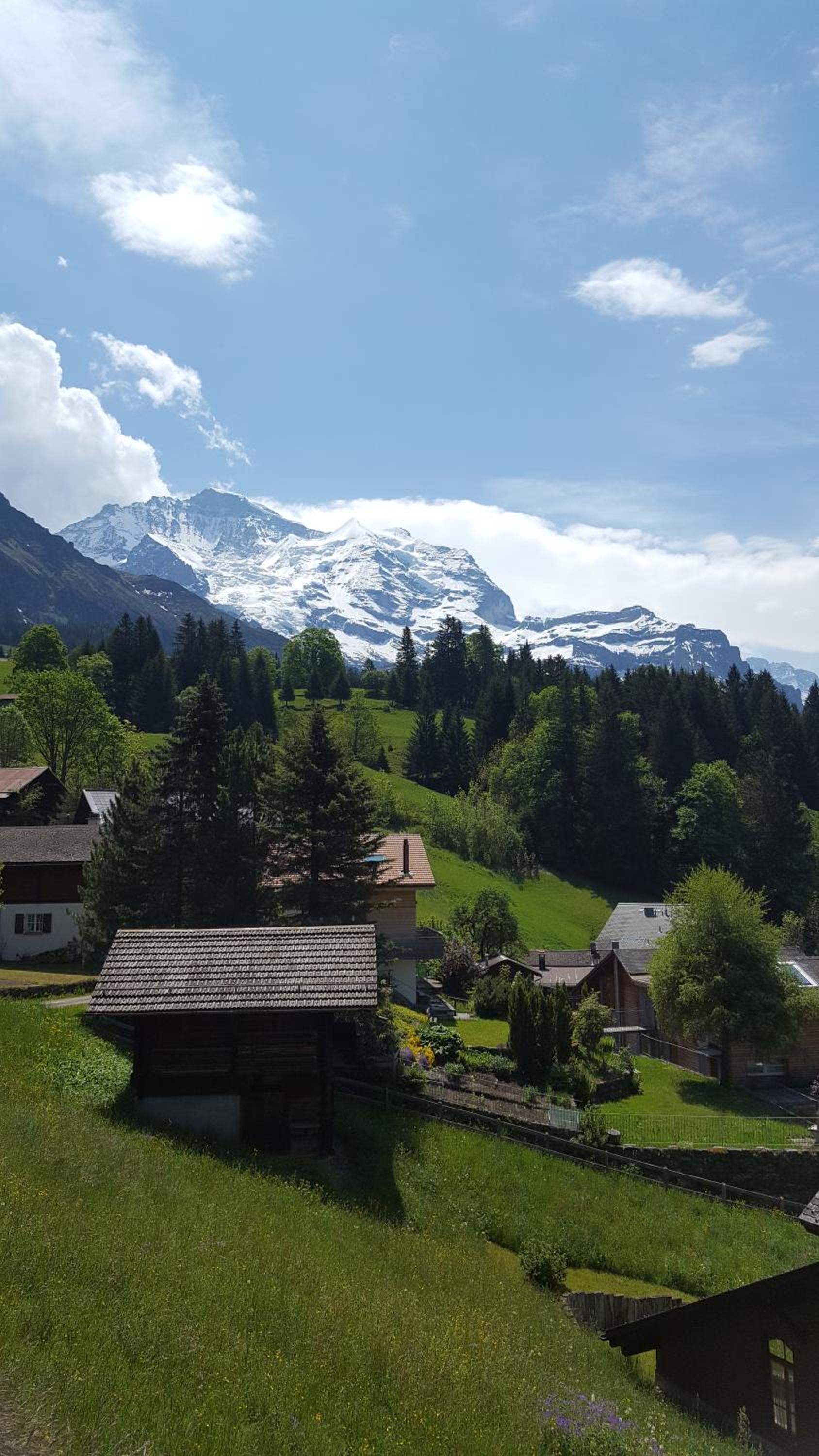 Chalet Viola - Verena's Loft
