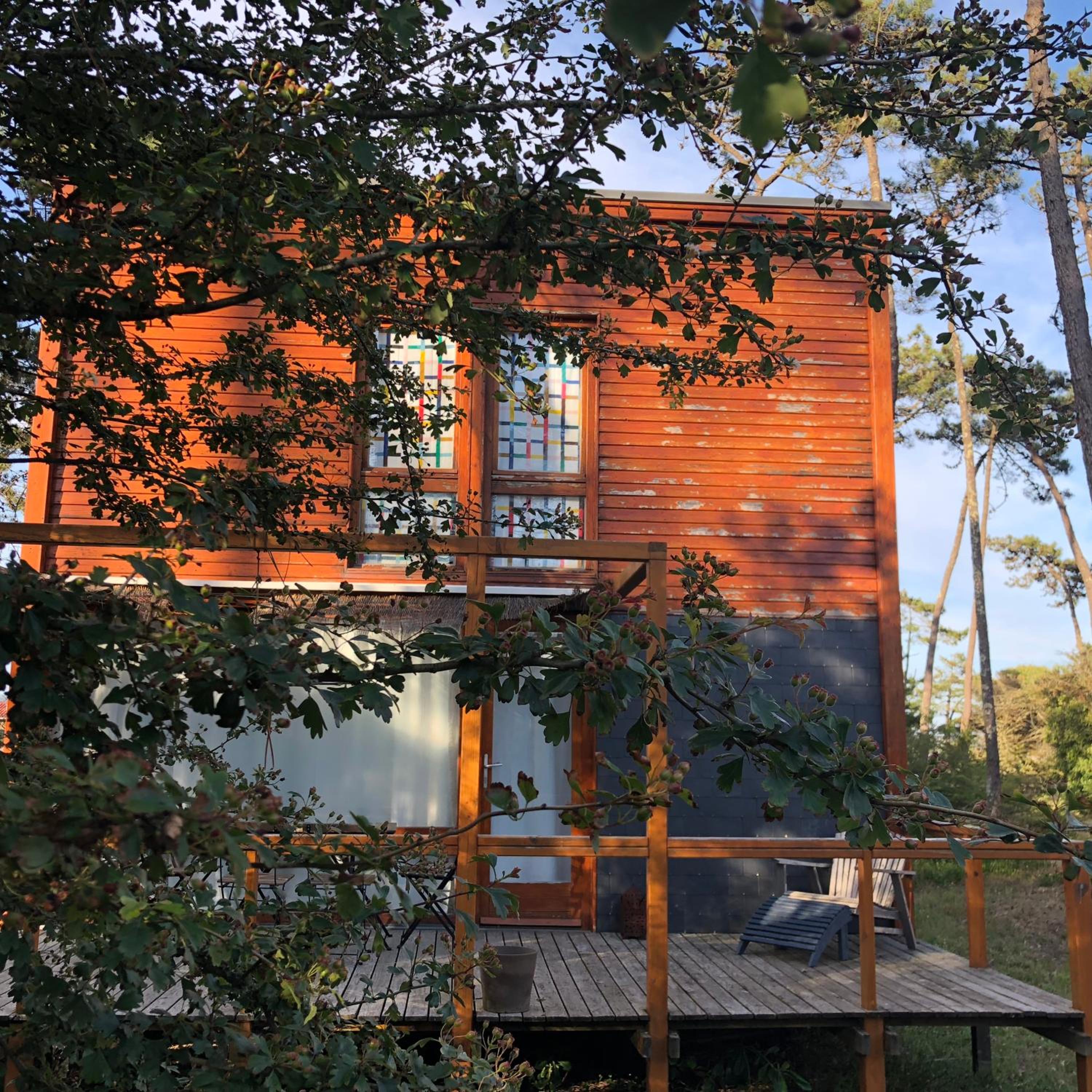 Bungalow B5 Ofir view 4