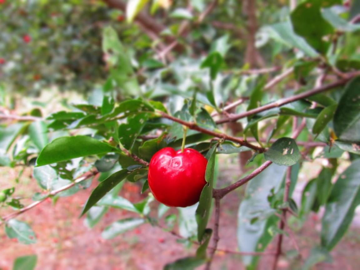 Pousada Varanda da Serra