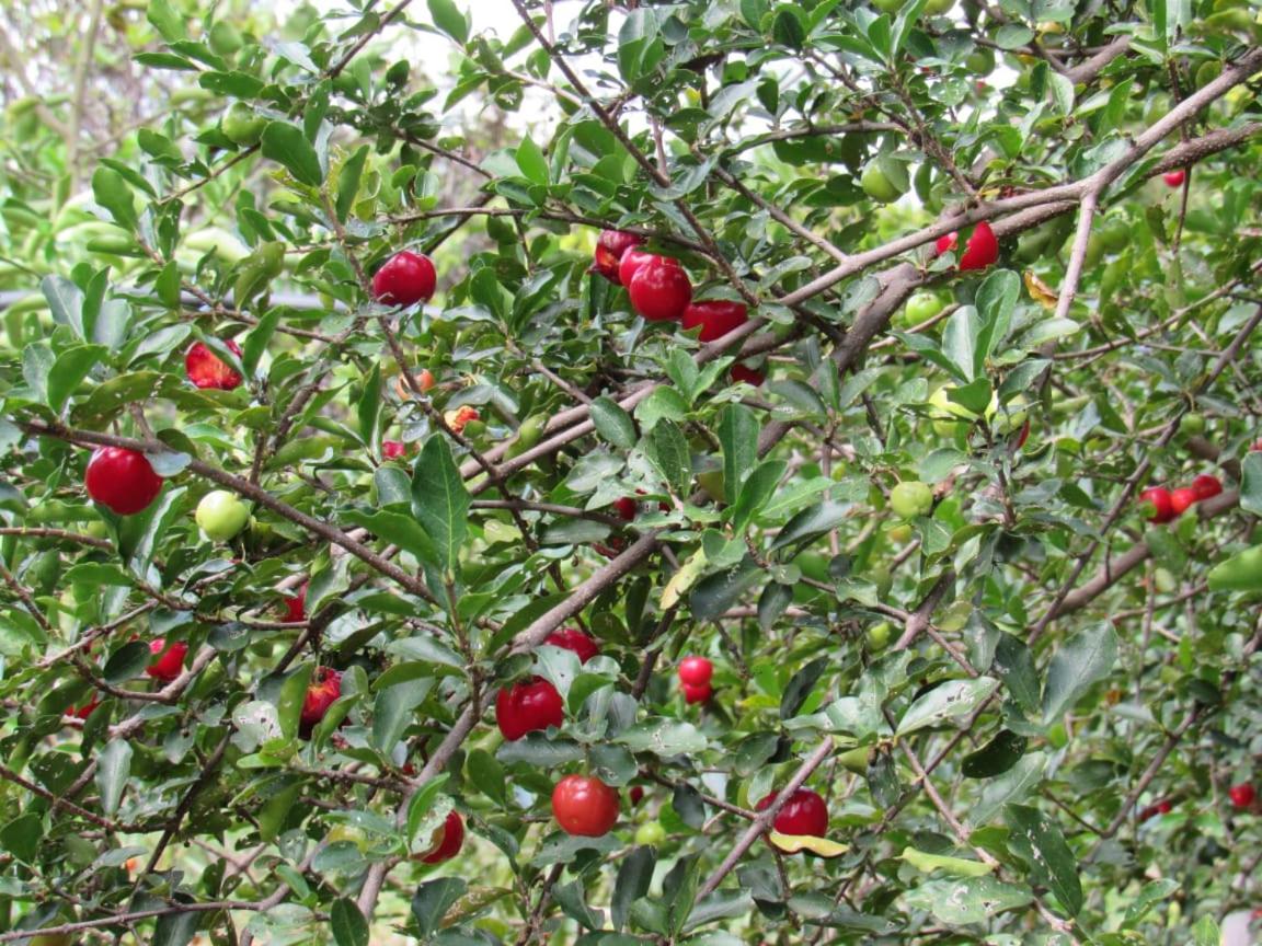 Pousada Varanda da Serra