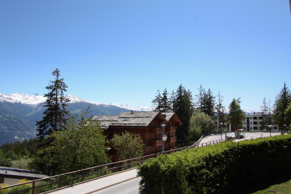 Photo 15