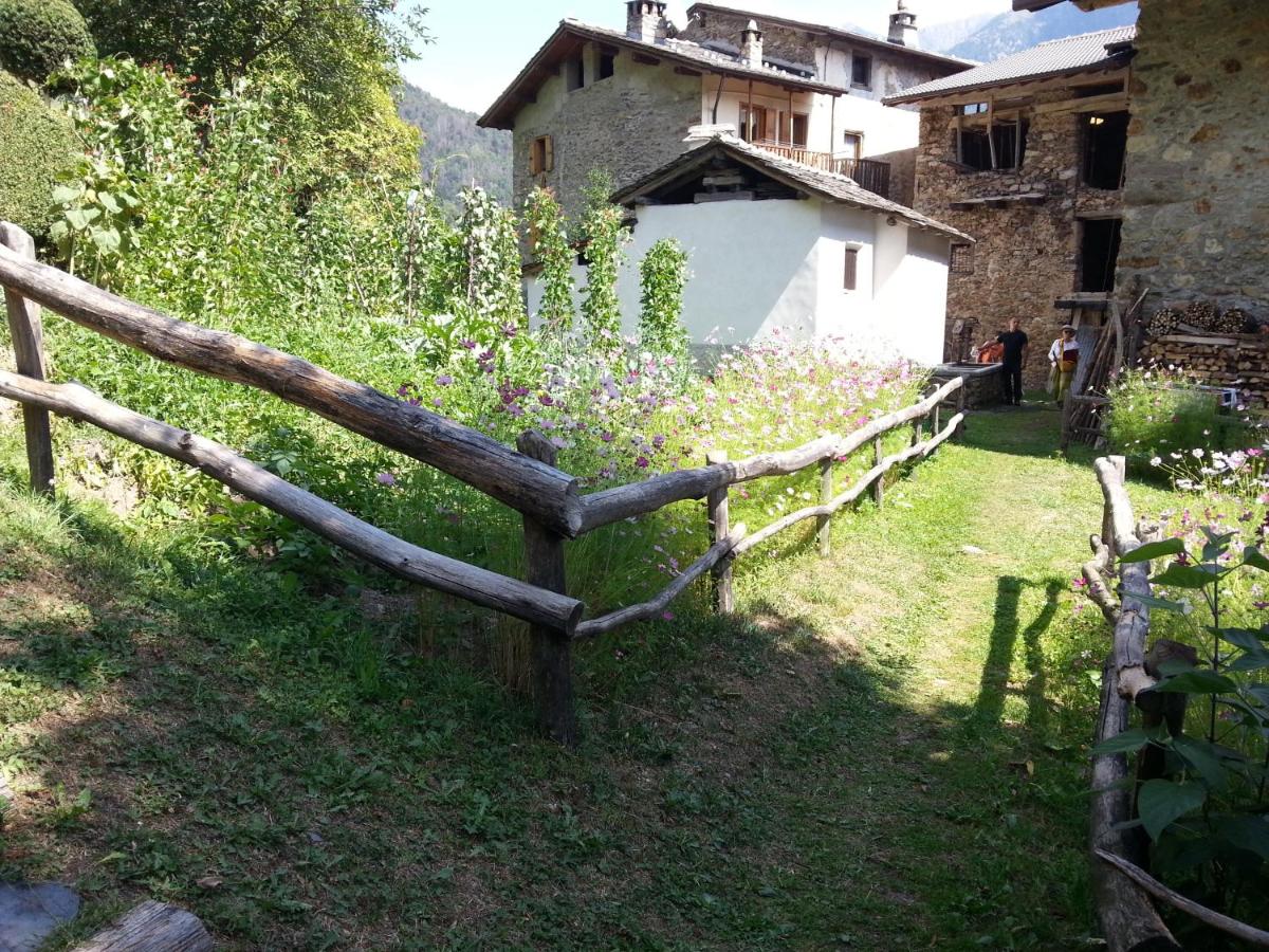 Photo 29