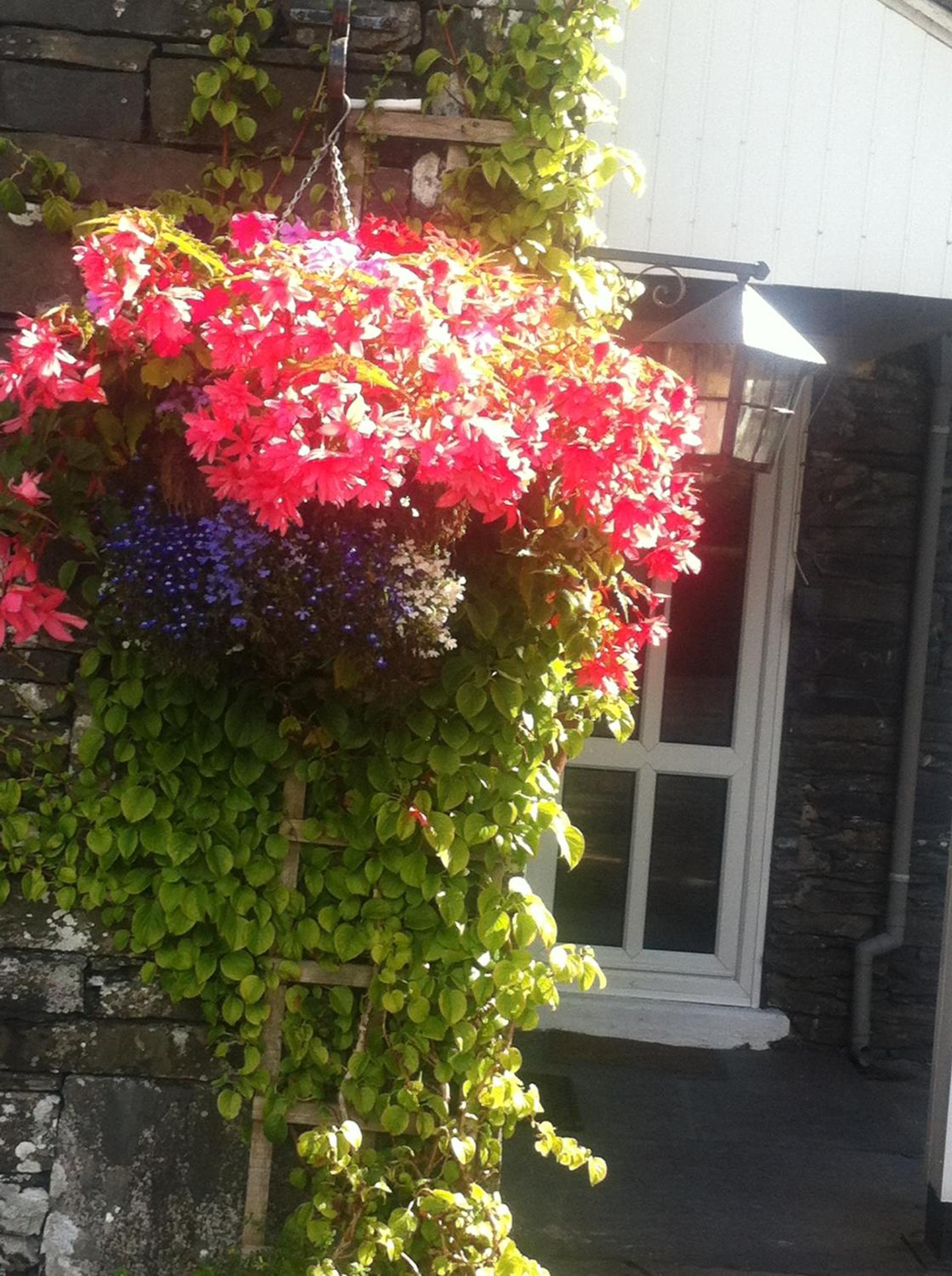 Photo 46