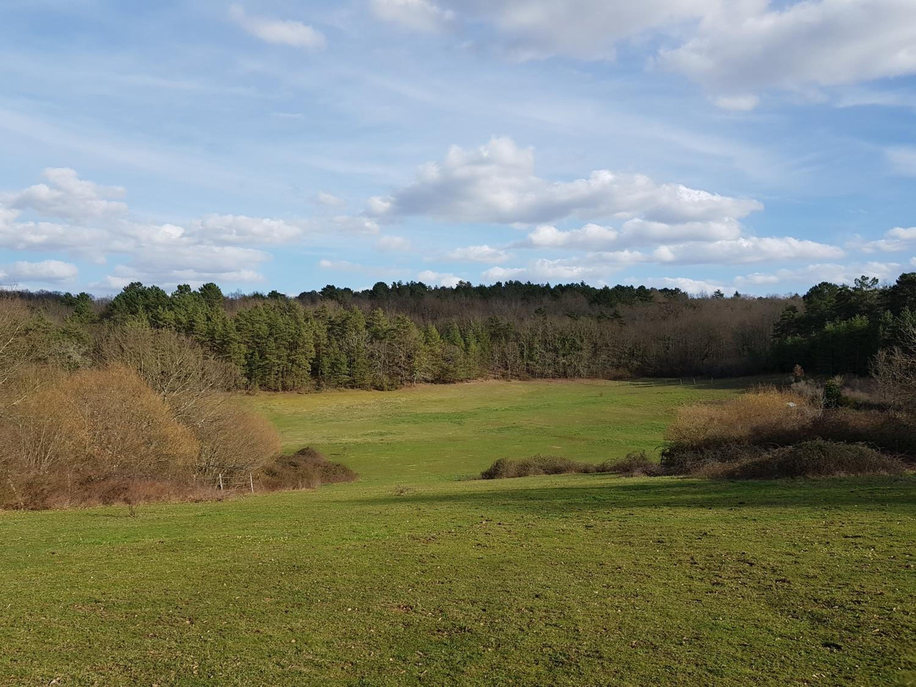 Les Granges Indigo view 4