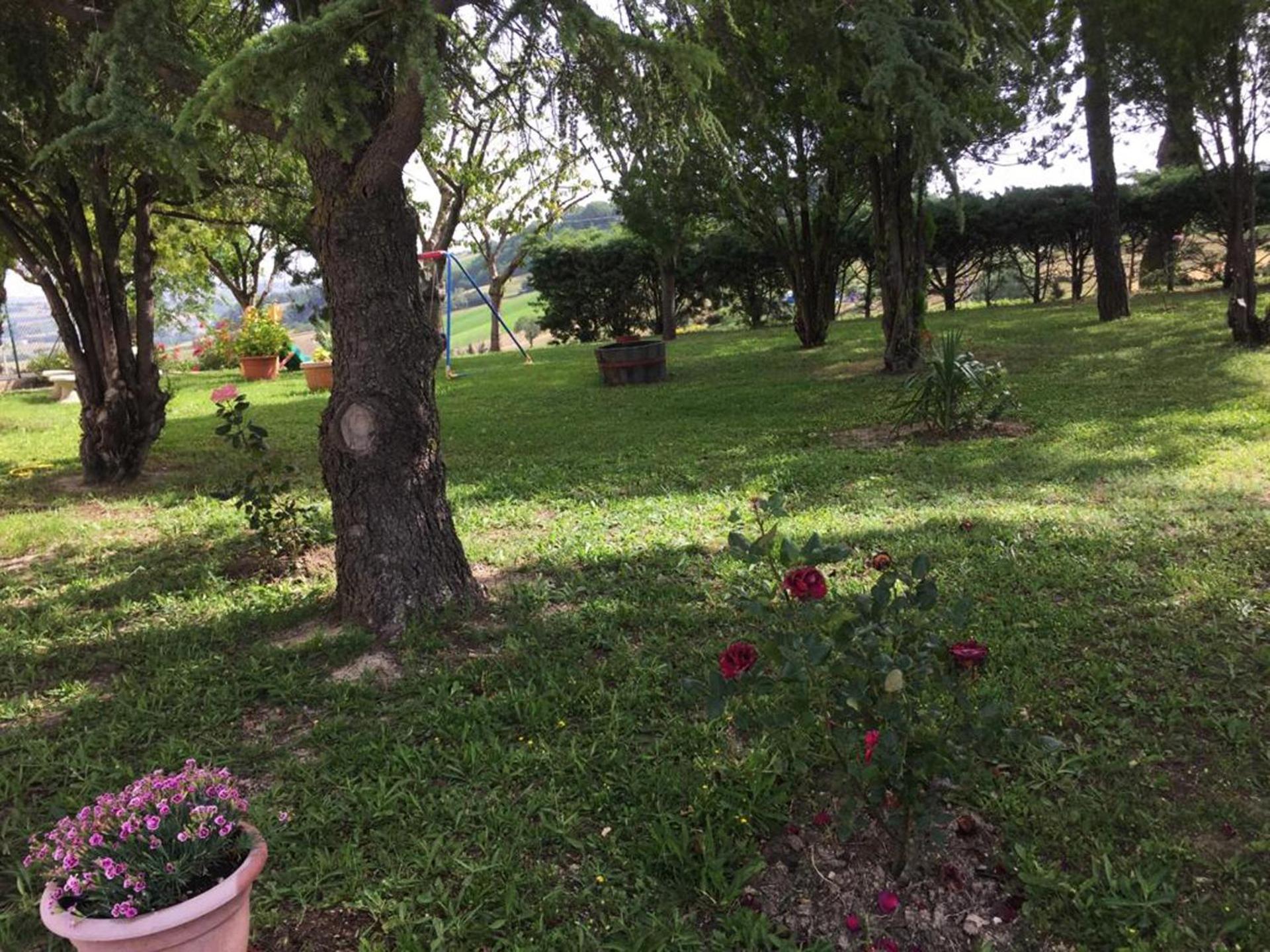 B&B da Eli view 5
