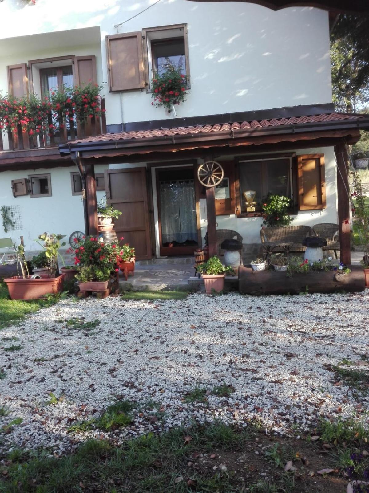 Il posto del ciliegio selvatico