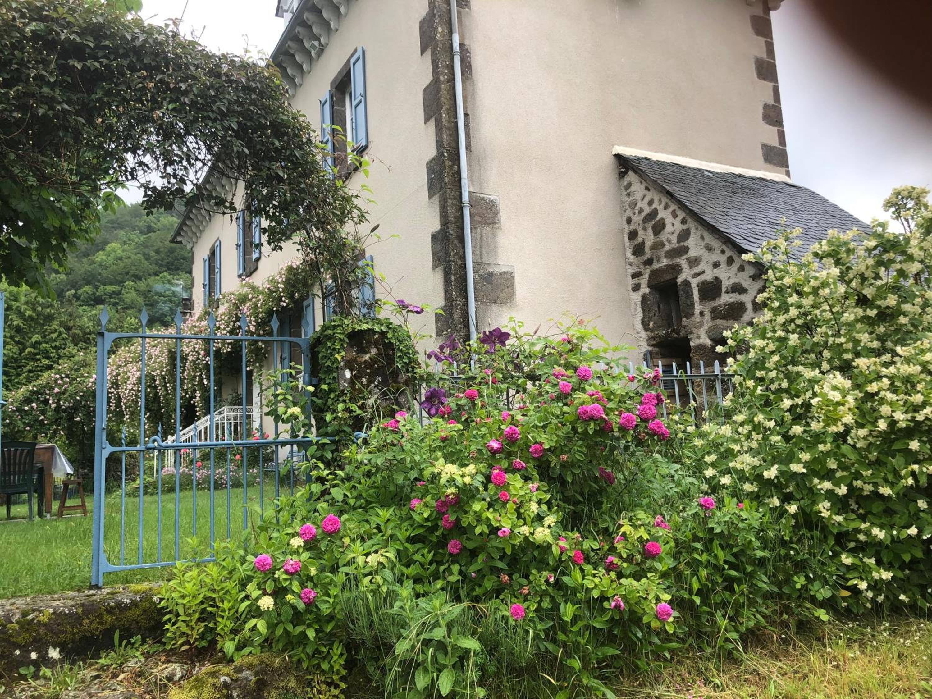Photo 23