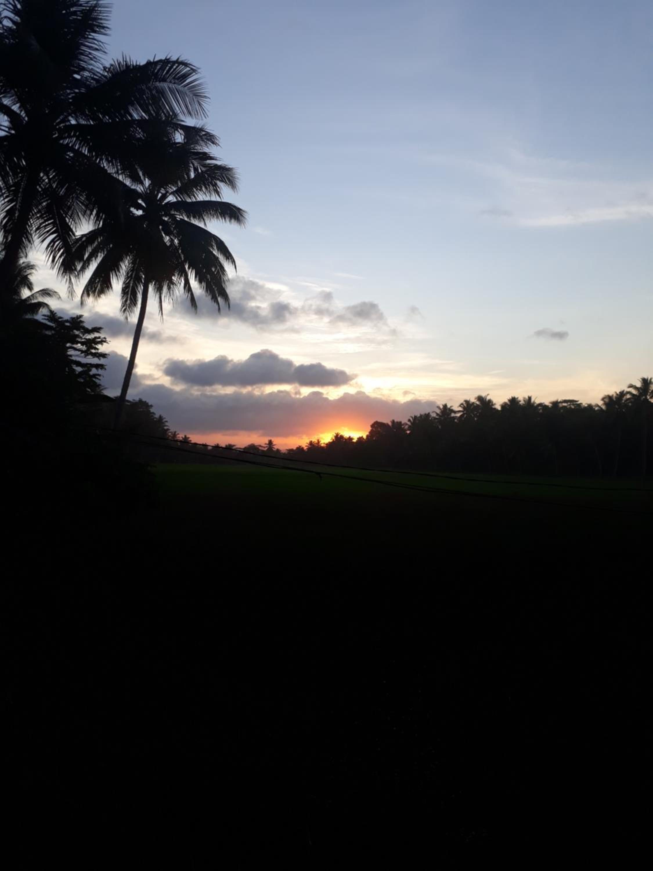 d'Jarwo House view 3
