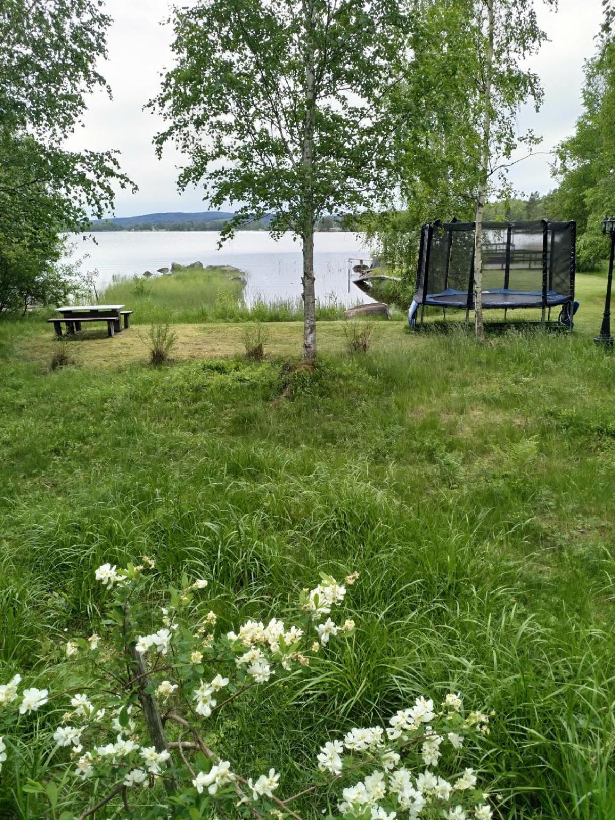 Mysig timmerstuga med sjötomt