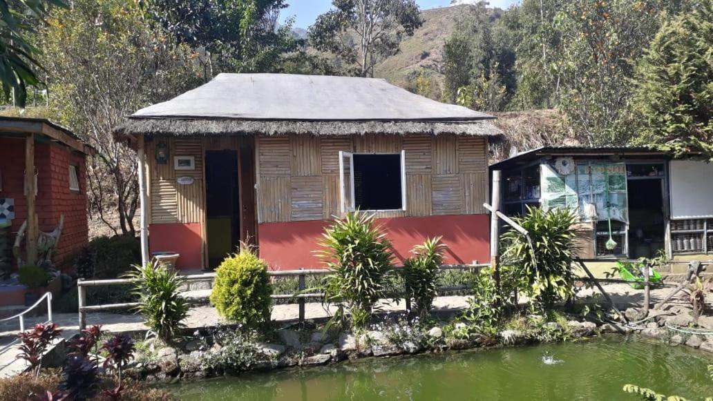 Sunakhari Homestay view 2