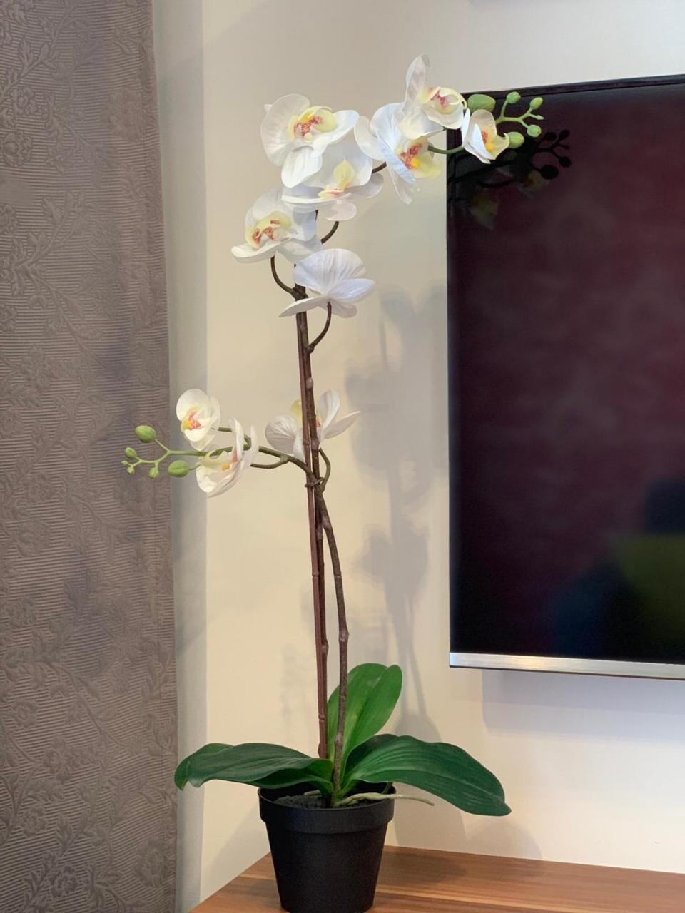 Photo 19