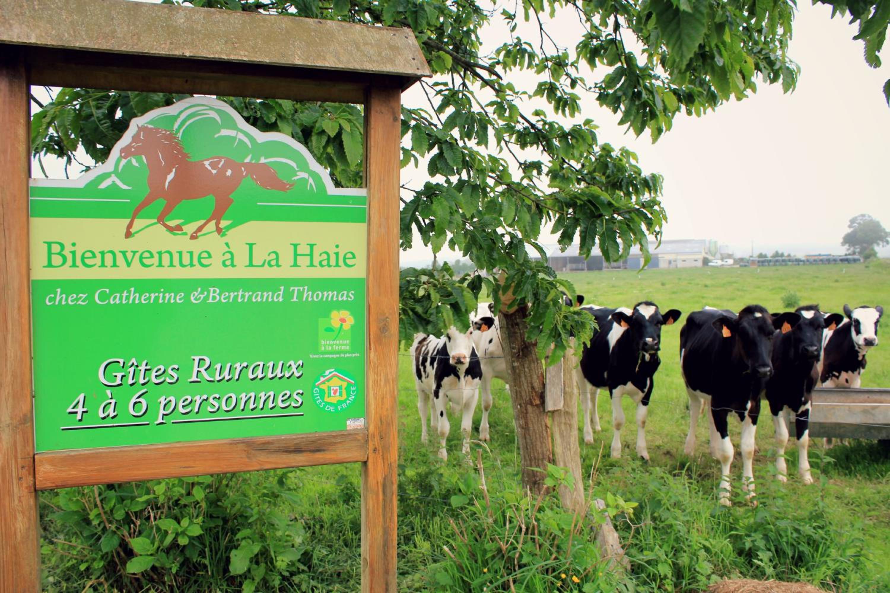 Gites de la Haie
