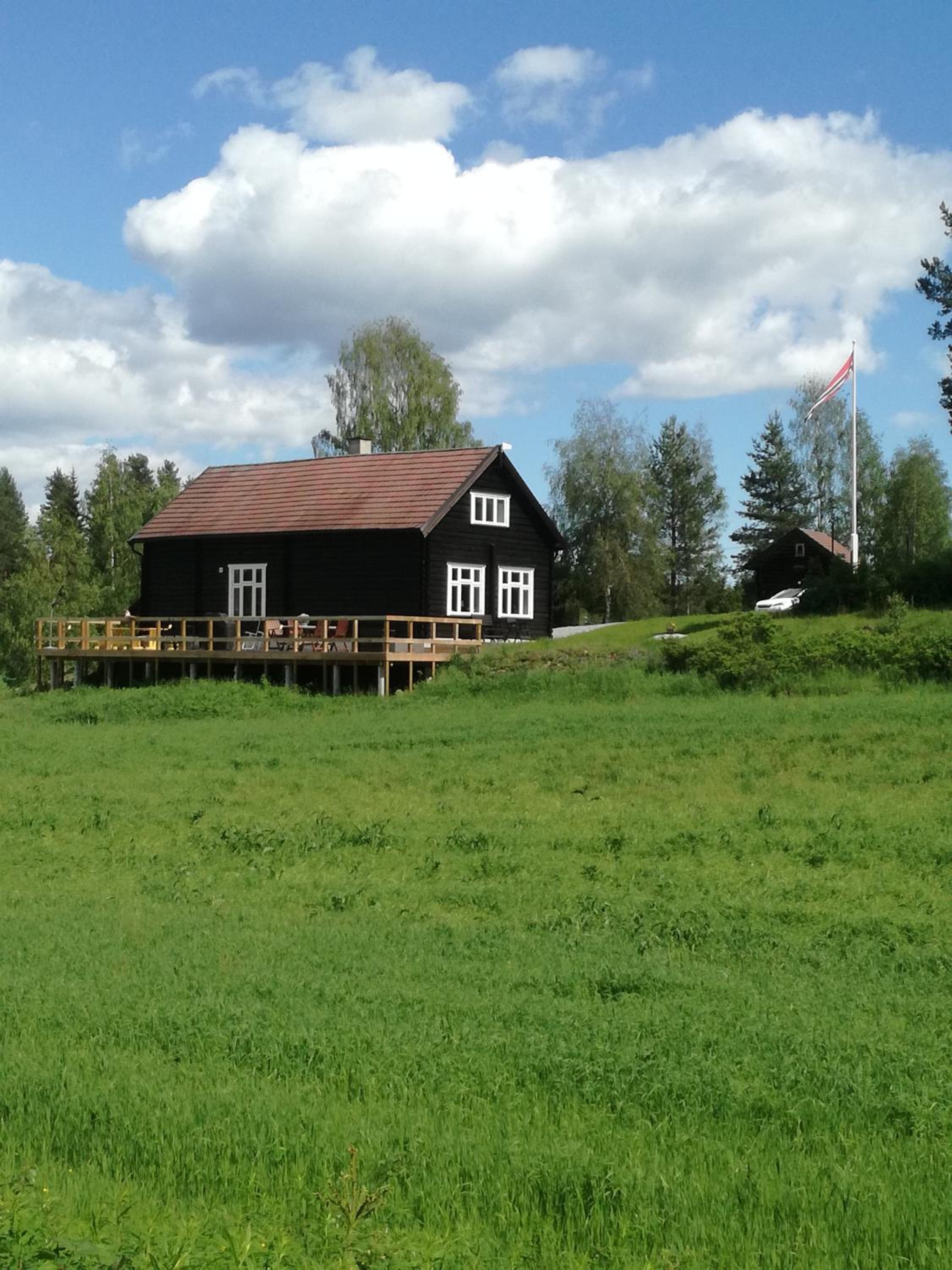 Photo 12