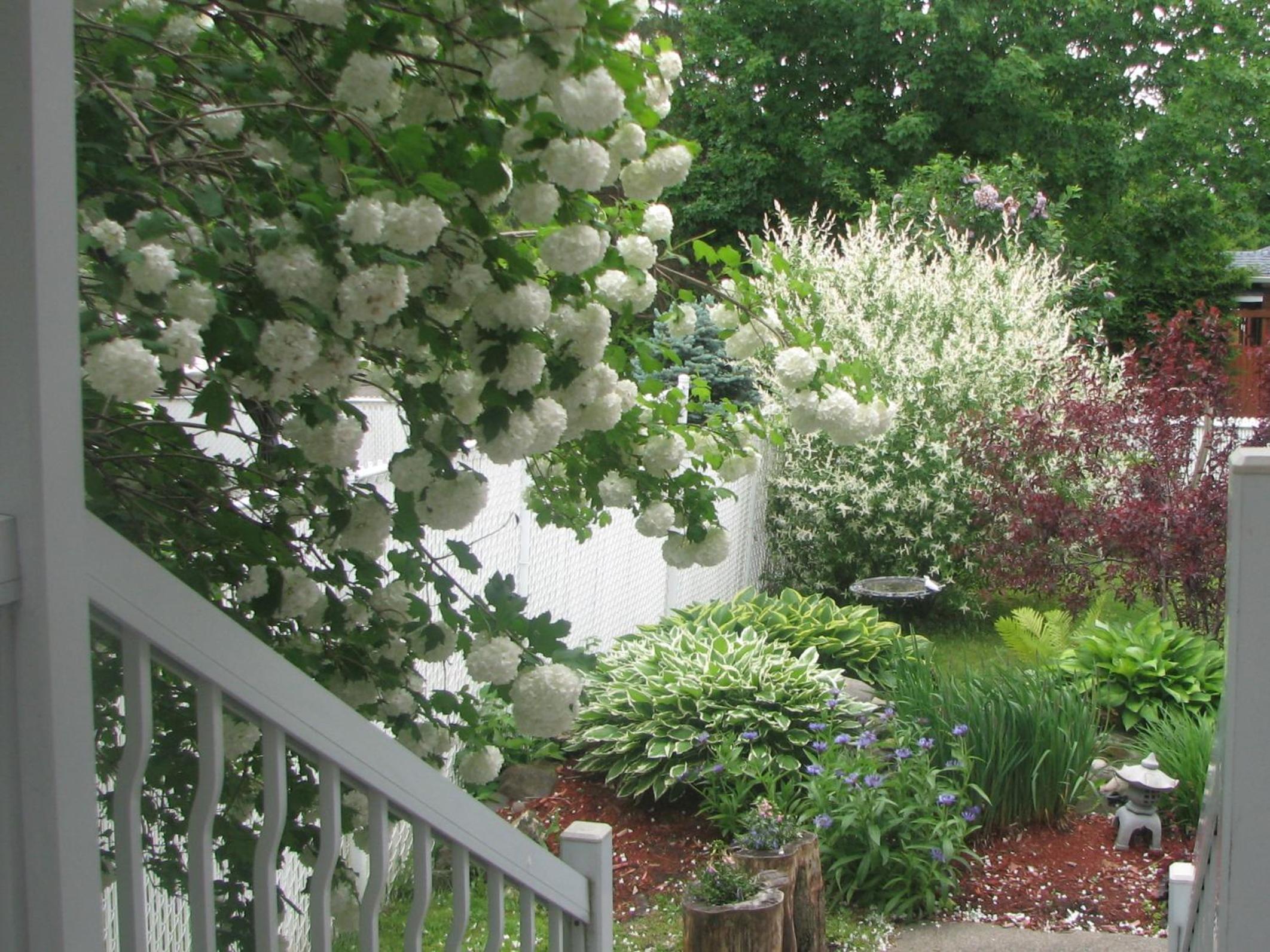 Magnolia B&B