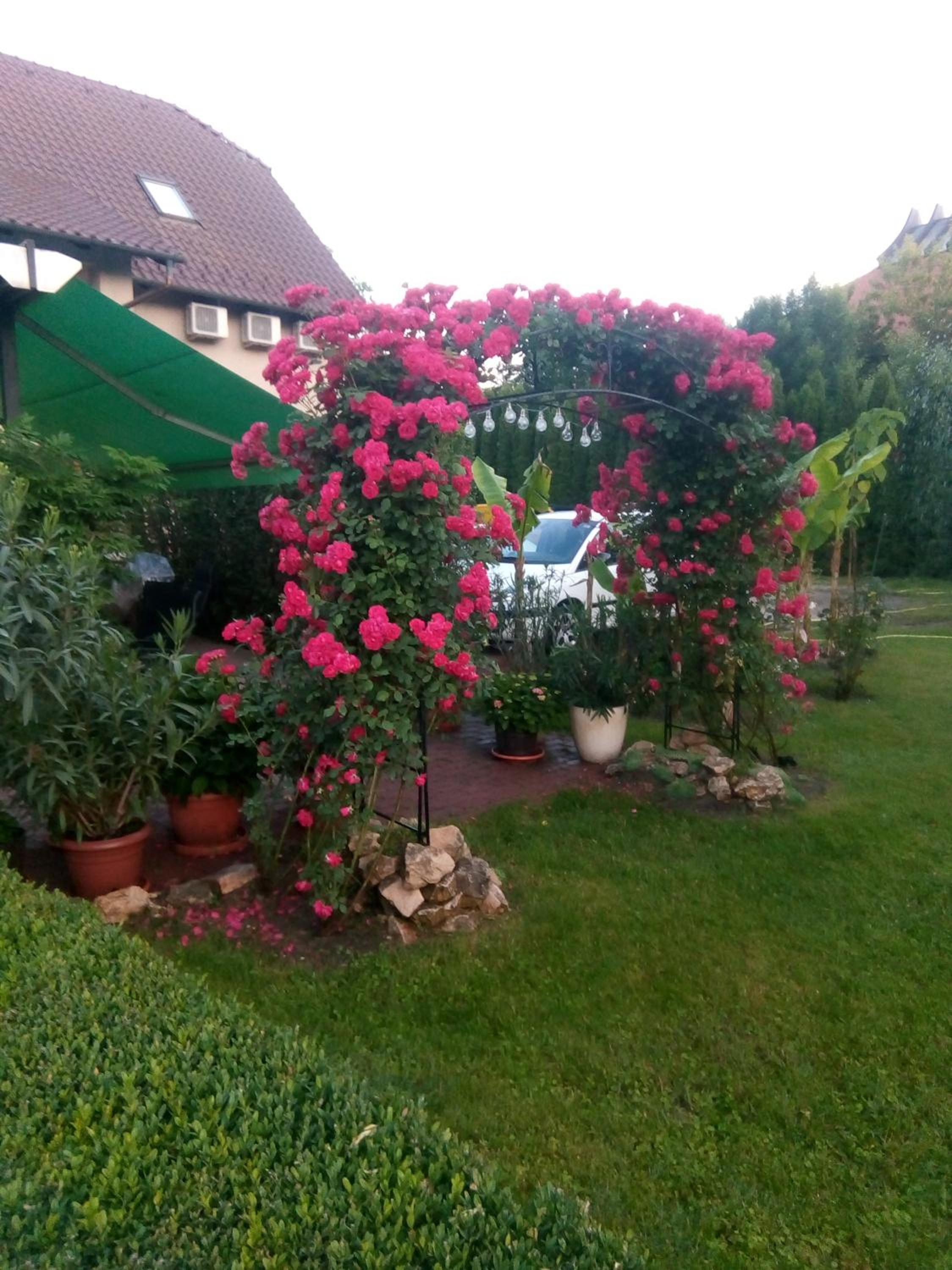 Mézesvölgy Vendégház view 5
