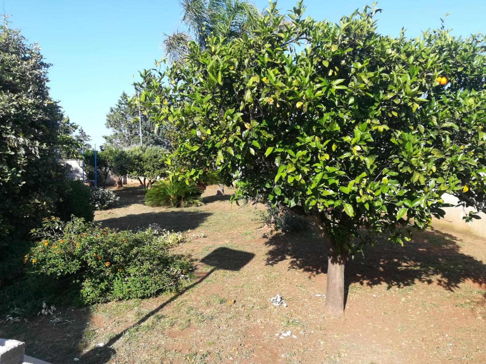 Photo 20