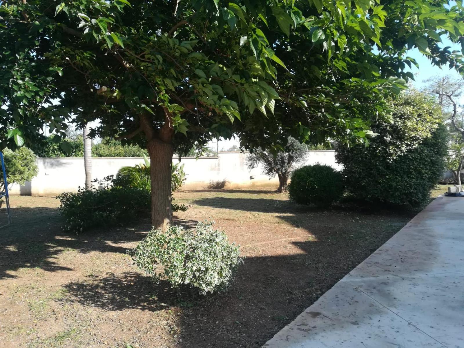 Photo 21
