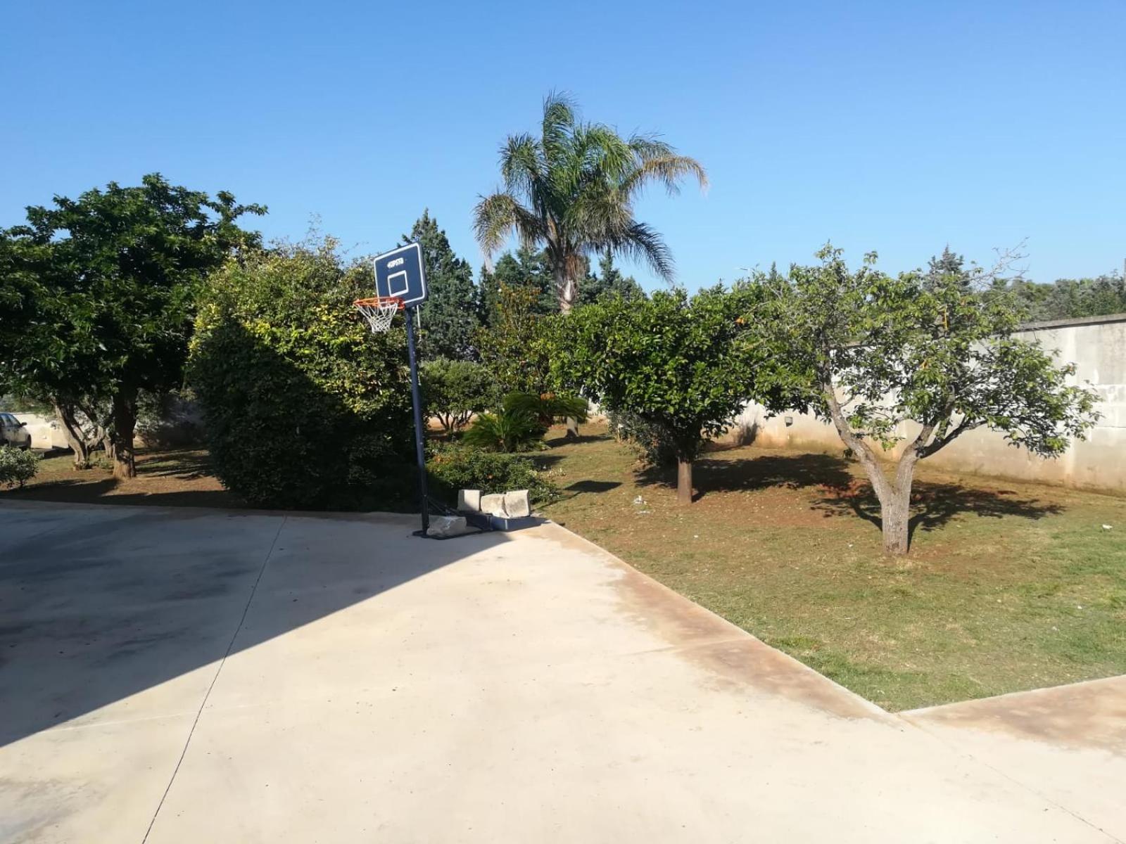 Photo 23