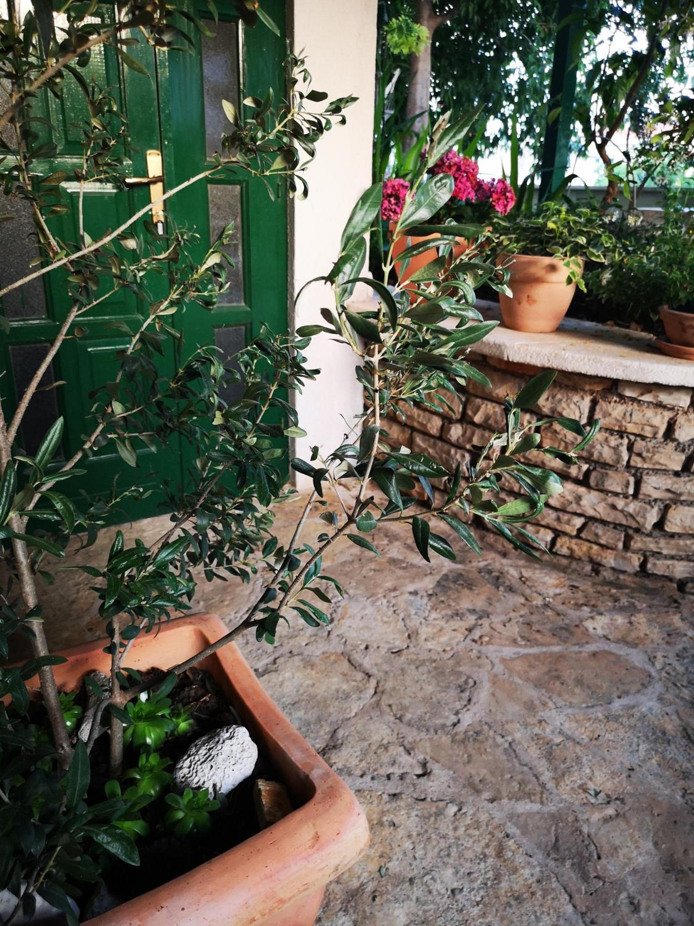 Villa Ivona view 5