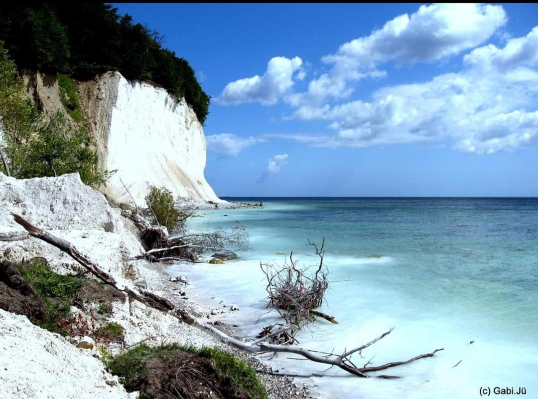 Ferienapartment Wiese & Meer auf Rügen
