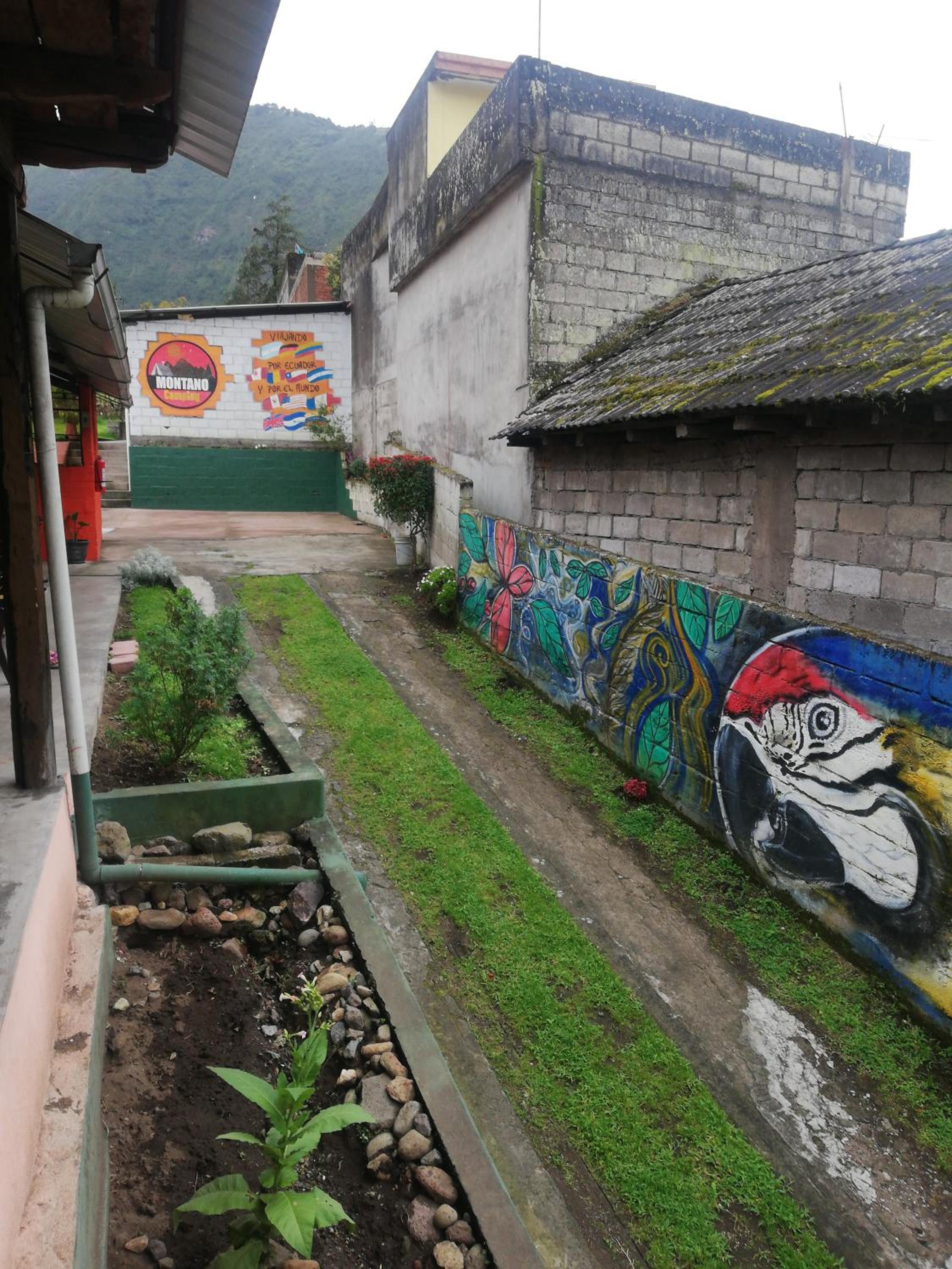 Photo 44
