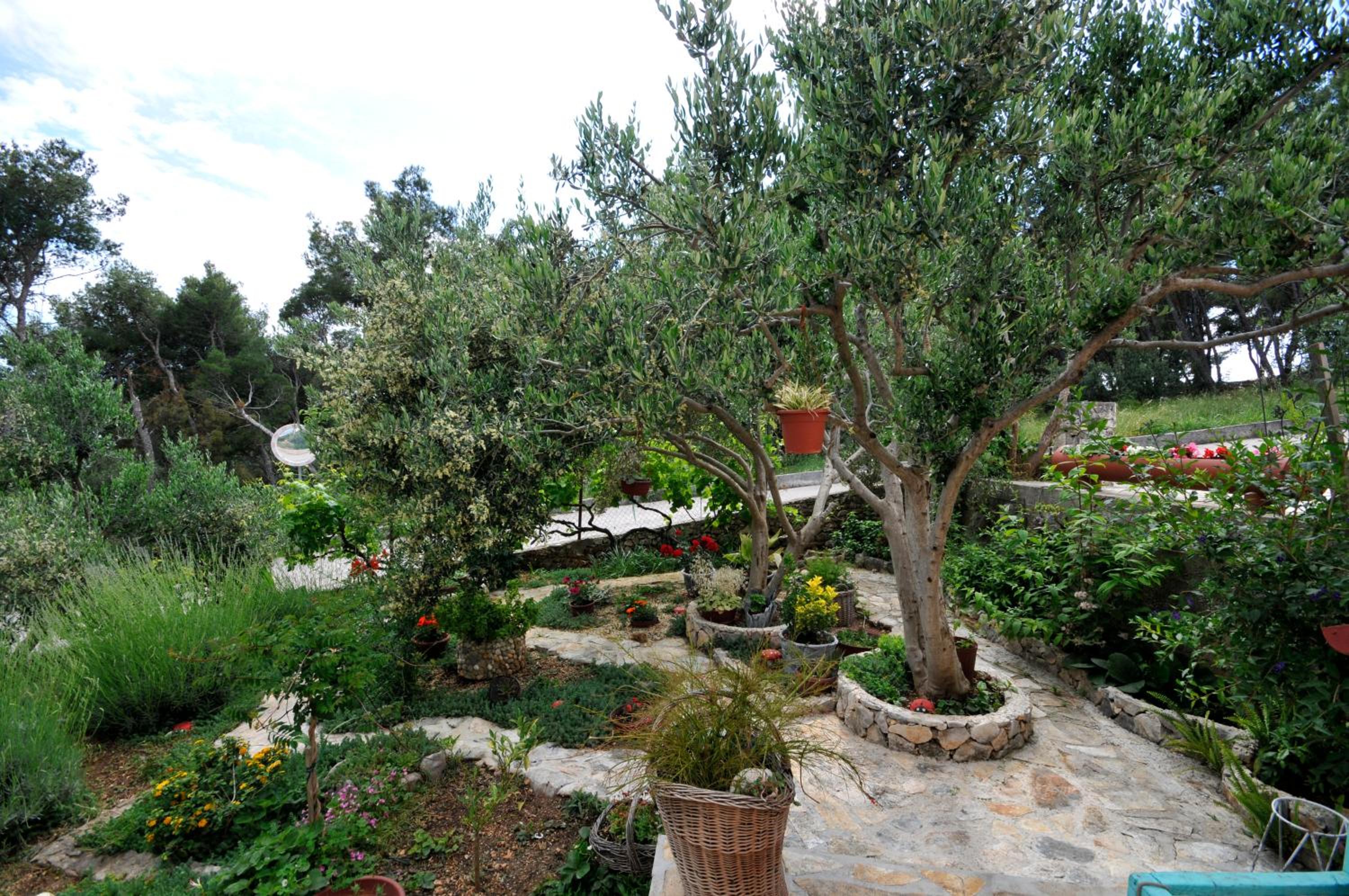 Photo 46