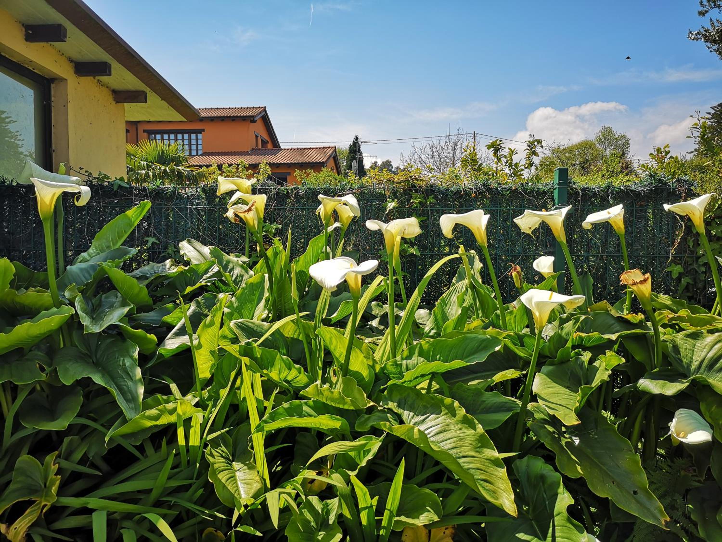 Apartamentos Rurales Villa del Sain Cudillero