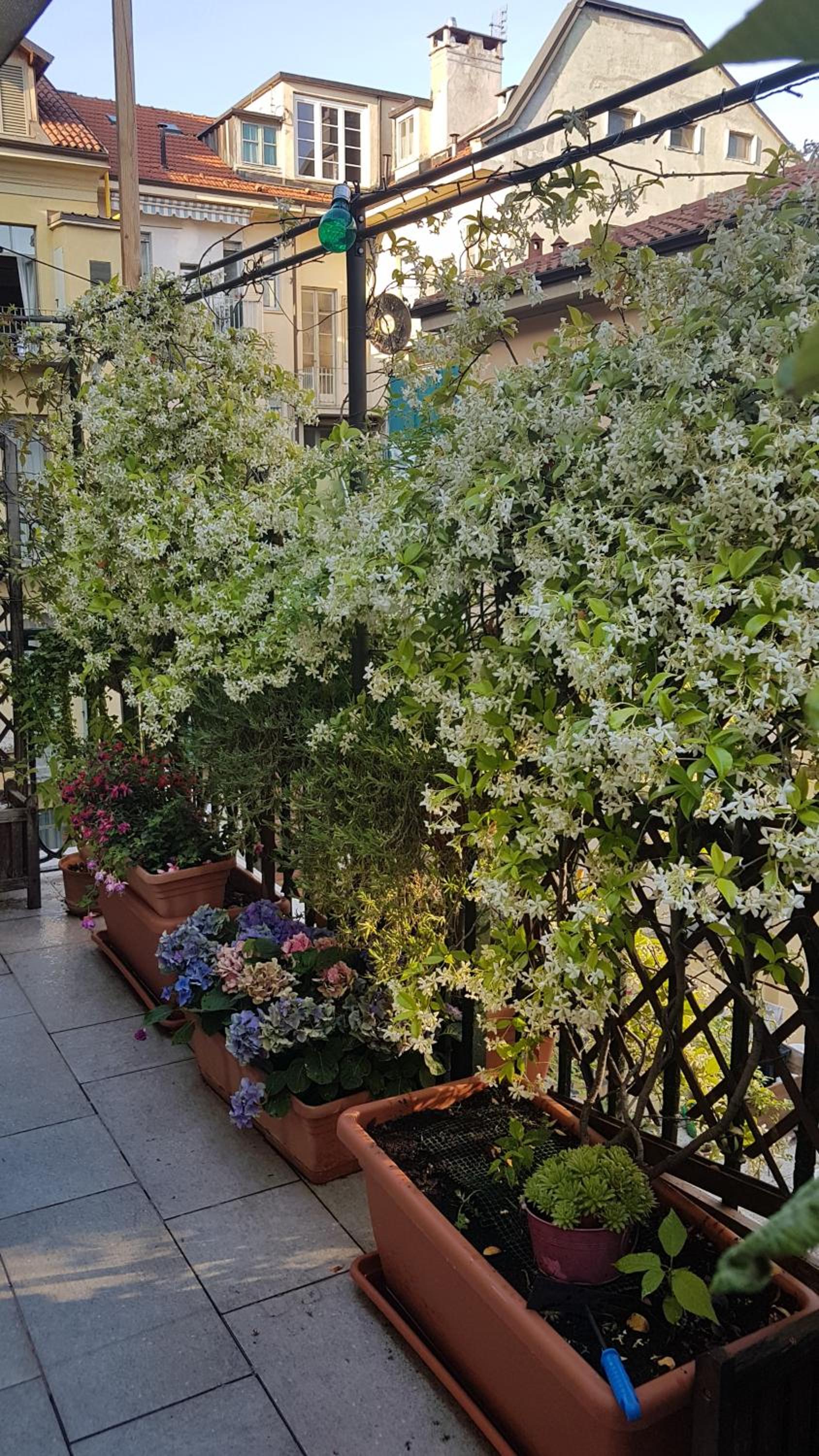 La terrazza San Salvario