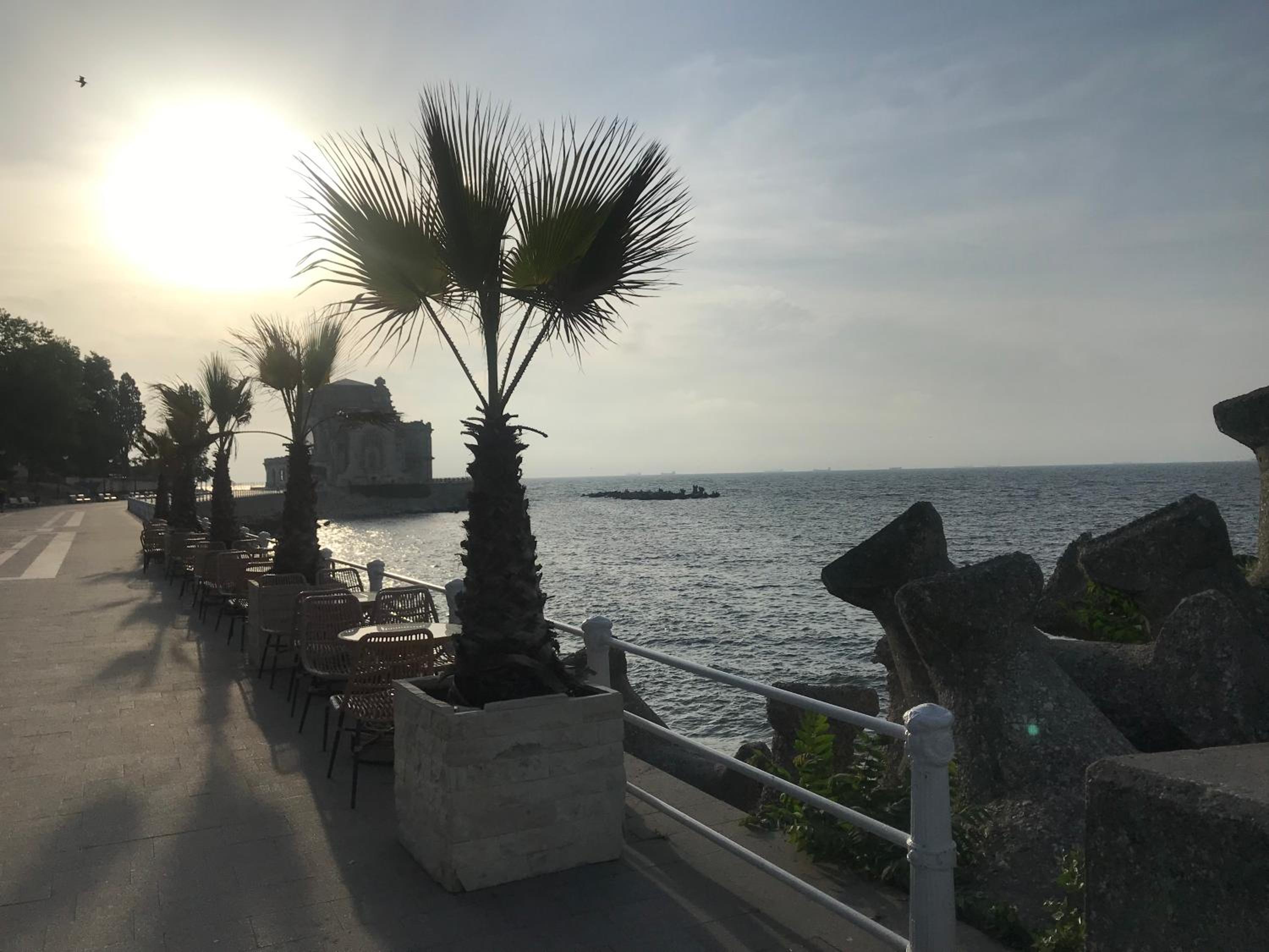 La Eluța Cazino view 4