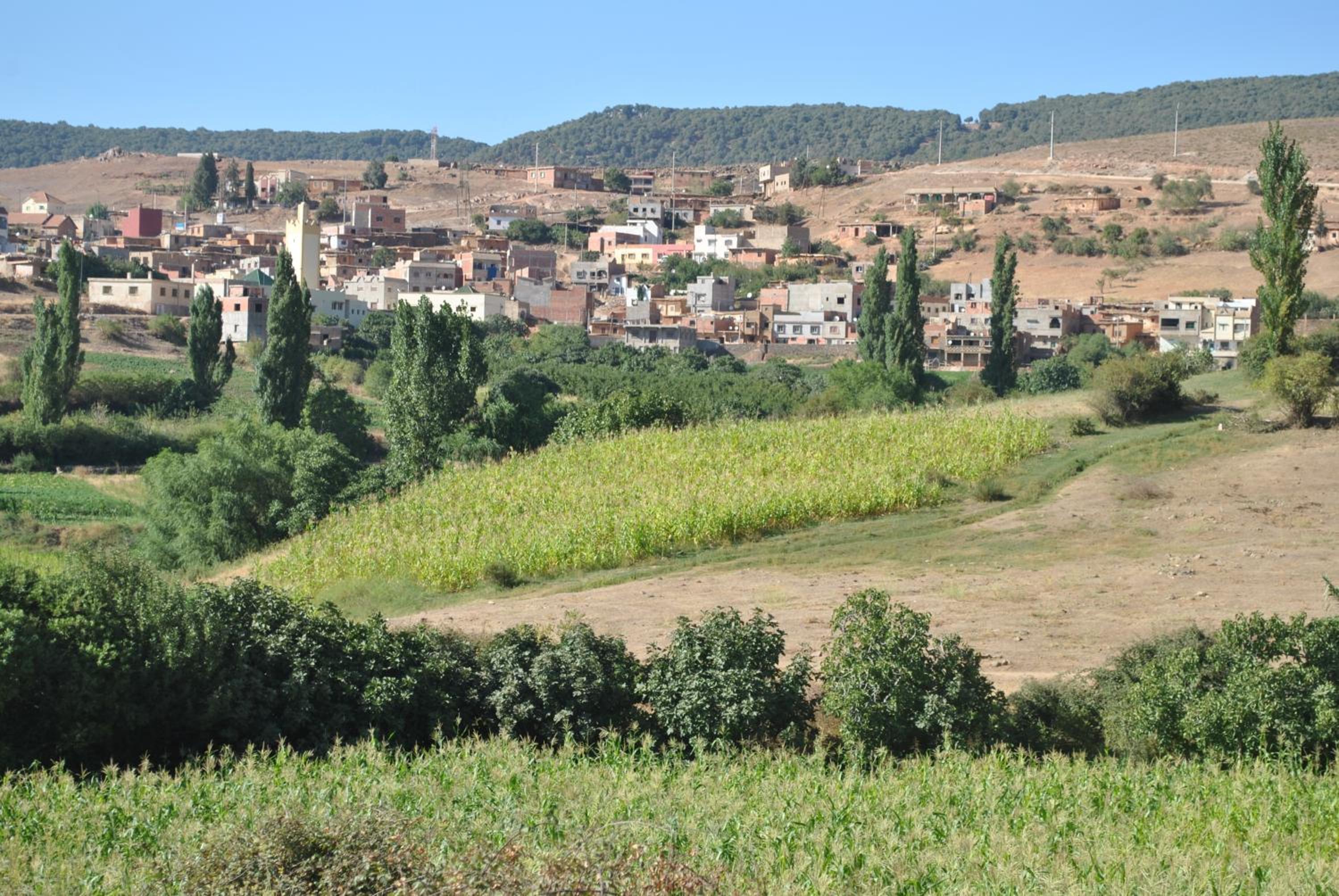 Tamanoucht view 2