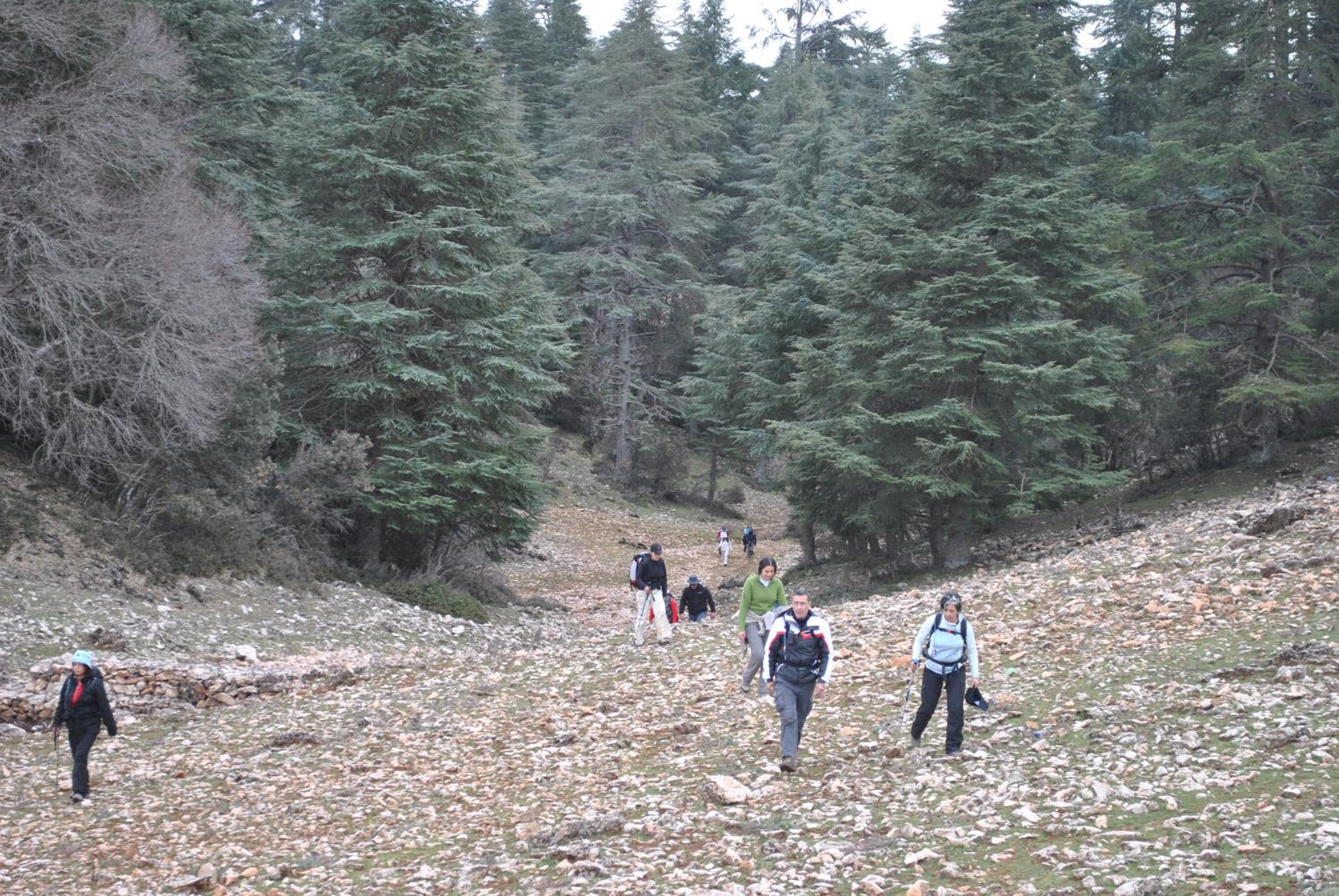 Tamanoucht view 3