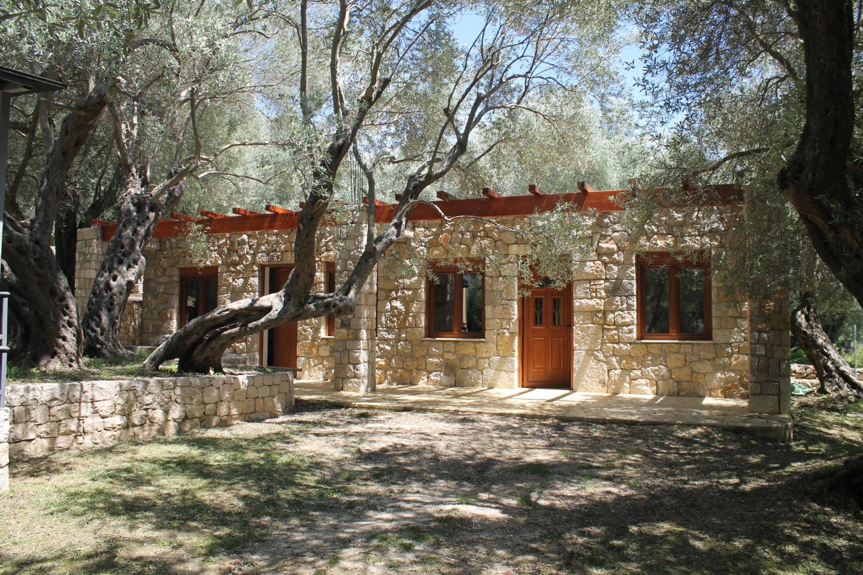 Photo 7